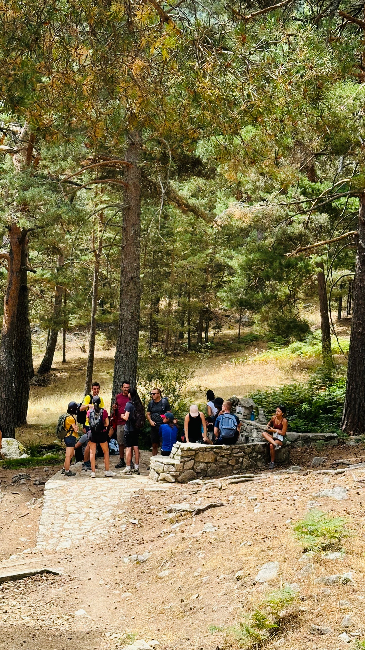 Hiking. Sunday 11th May. Las Cabrillas-Navacerrada. 14KM. Medium Level