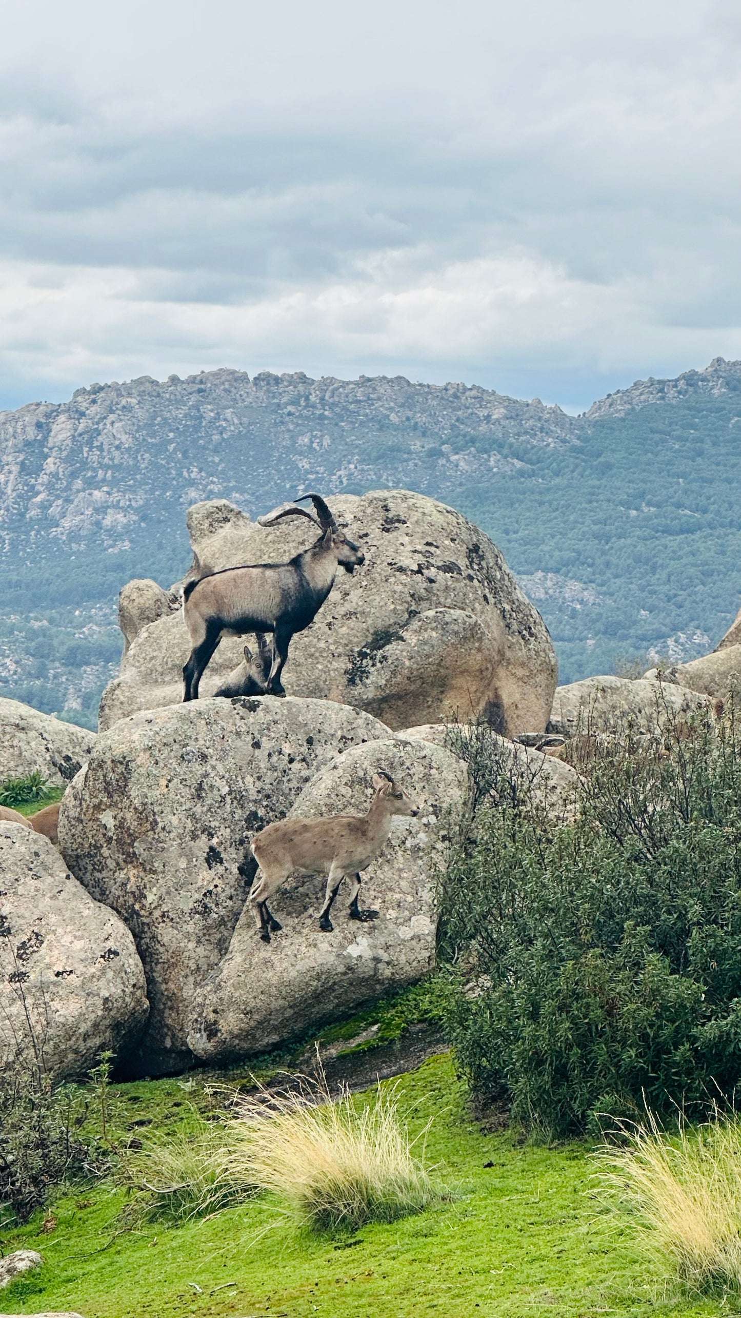 Saturday, 5th April. Hiking. La Raja (cave) - Mirador de Lalita - Soto del real 14KM- HARD level