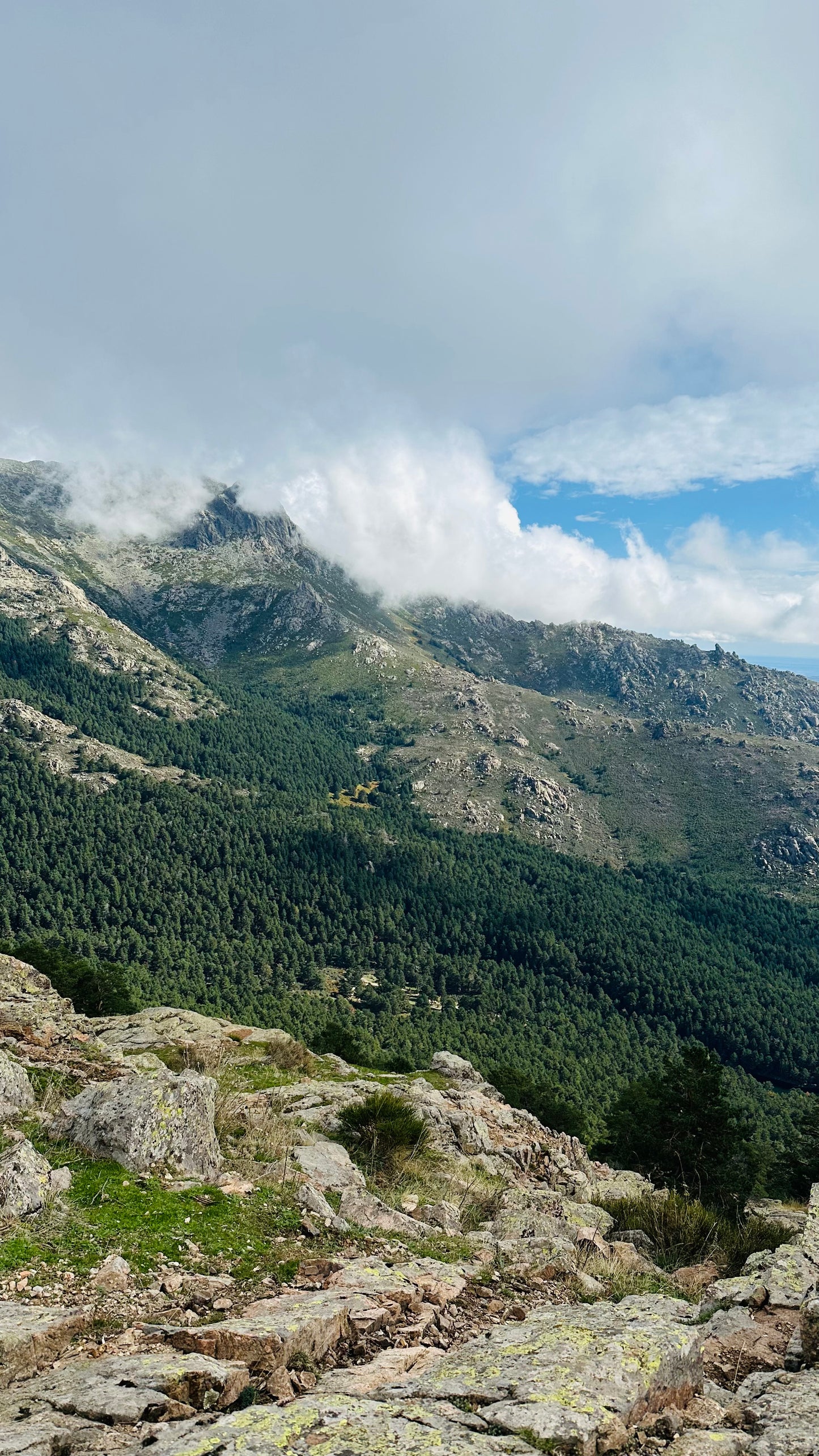Hiking. Sunday 11th May. Las Cabrillas-Navacerrada. 14KM. Medium Level
