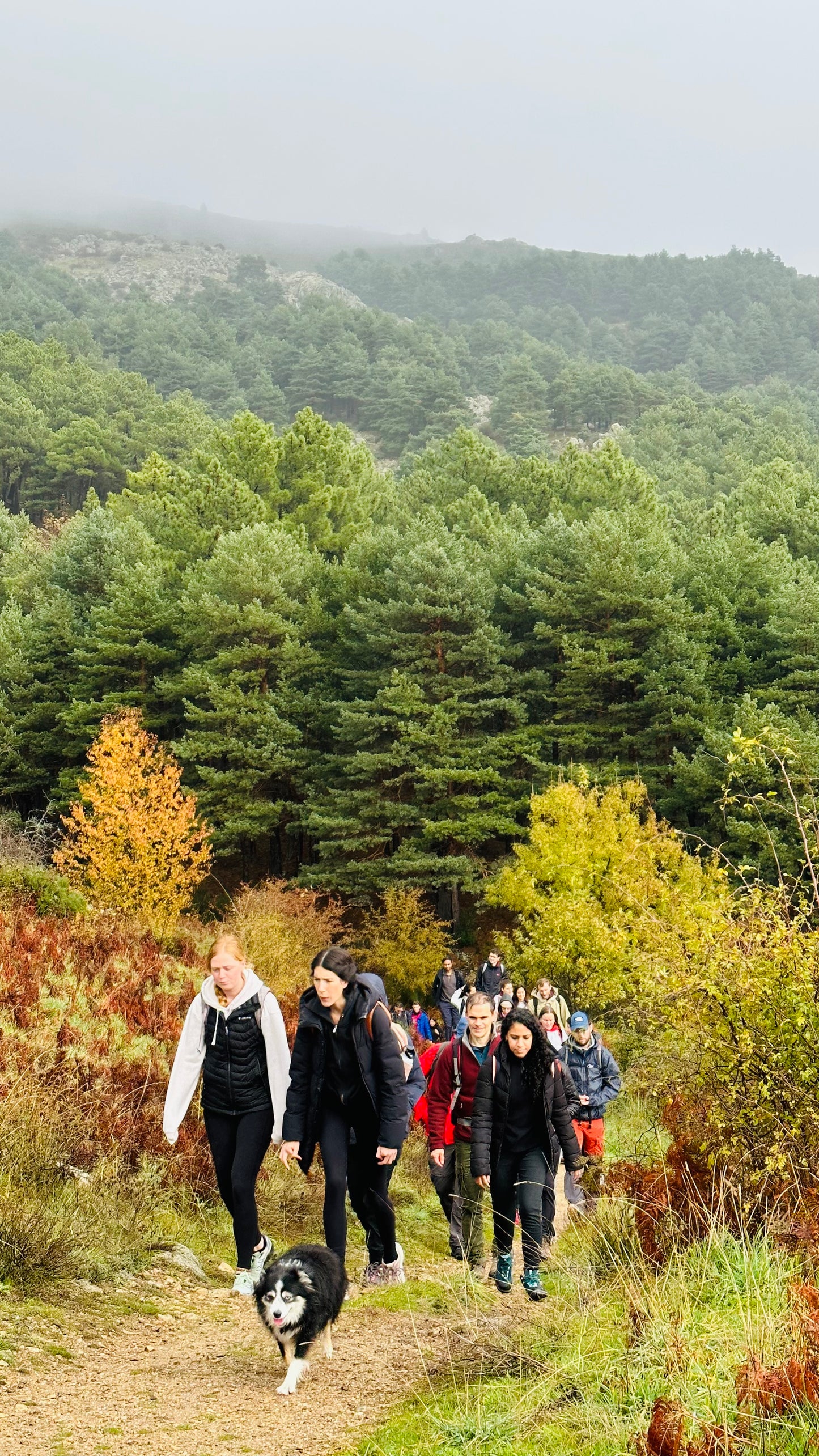 Sábado 27 de septiembre: Senderismo-Puerto de Canencia-Bustarviejo. 14KM. Nivel medio duro