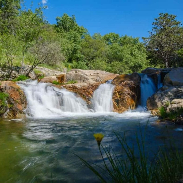 Sunday, 25th May- 🌿 Hike to Charca Verde – Nature, Waterfalls & Fun! 🥾💦14km. Medium level