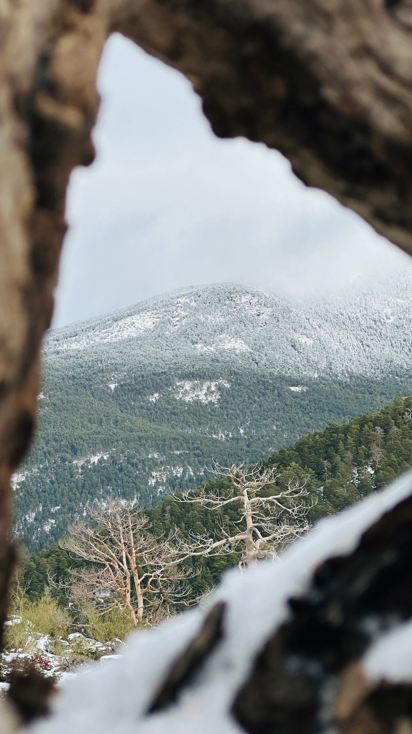 Sunday, Oct 13th. Hiking- Las Cabrillas-Navacerrada. 14KM. Medium Level