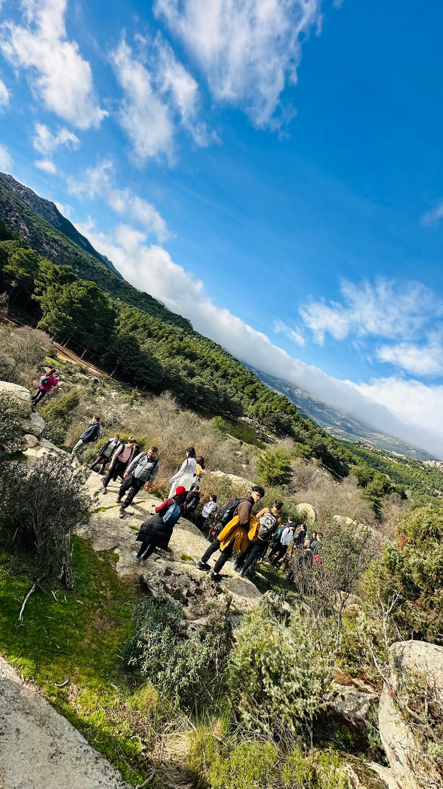 Firday 1st Nov. Hiking. Refugio Giner de los Ríos - La pedriza. Manzanares El Real. 15KM. Medium Level