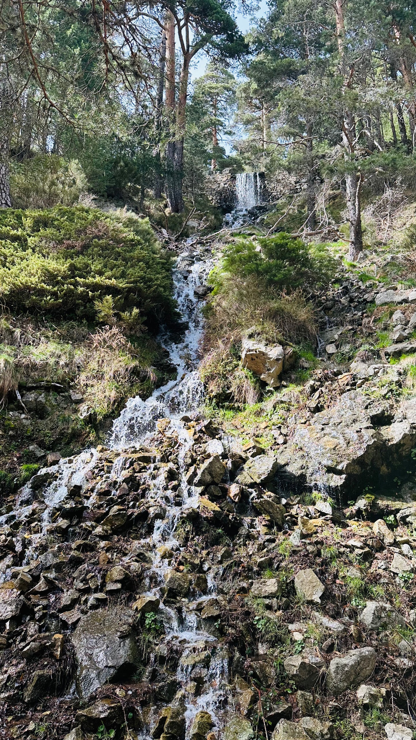 Sábado 29 de junio. Senderismo- Puerto de fuenfría-Fuente de la Reina. 18km Nivel Difícil