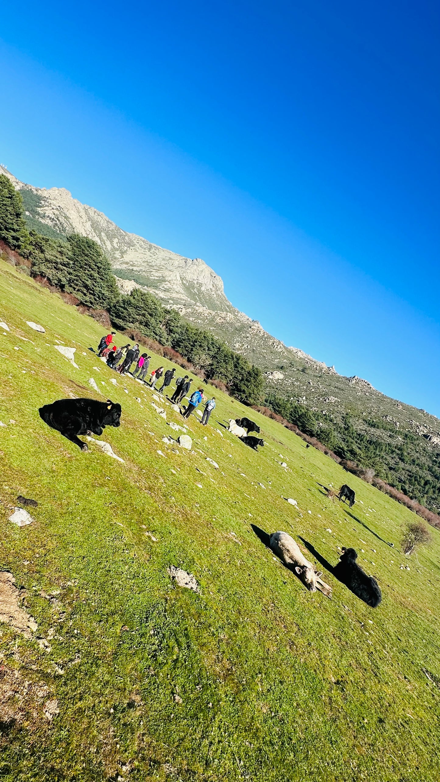 Saturday 7th sep: Hiking - Bola del Mundo - Maliciosa Peak. 15km. Hard Level