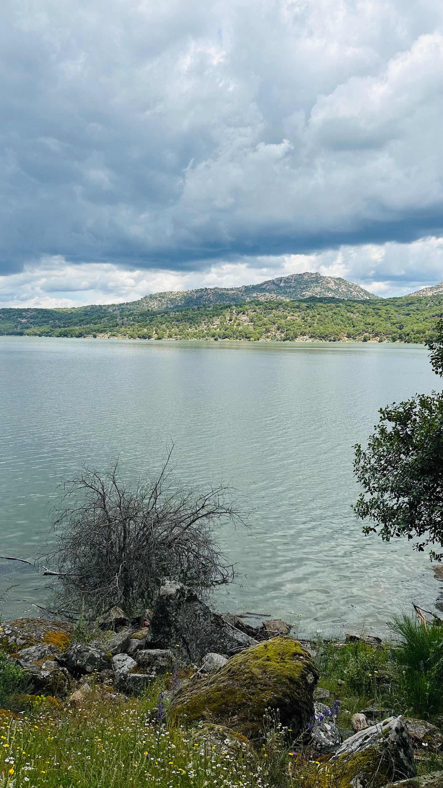 Hiking - Pelayos de la Presa. Pantano de San Juan (reservoir) Medium level. 8km