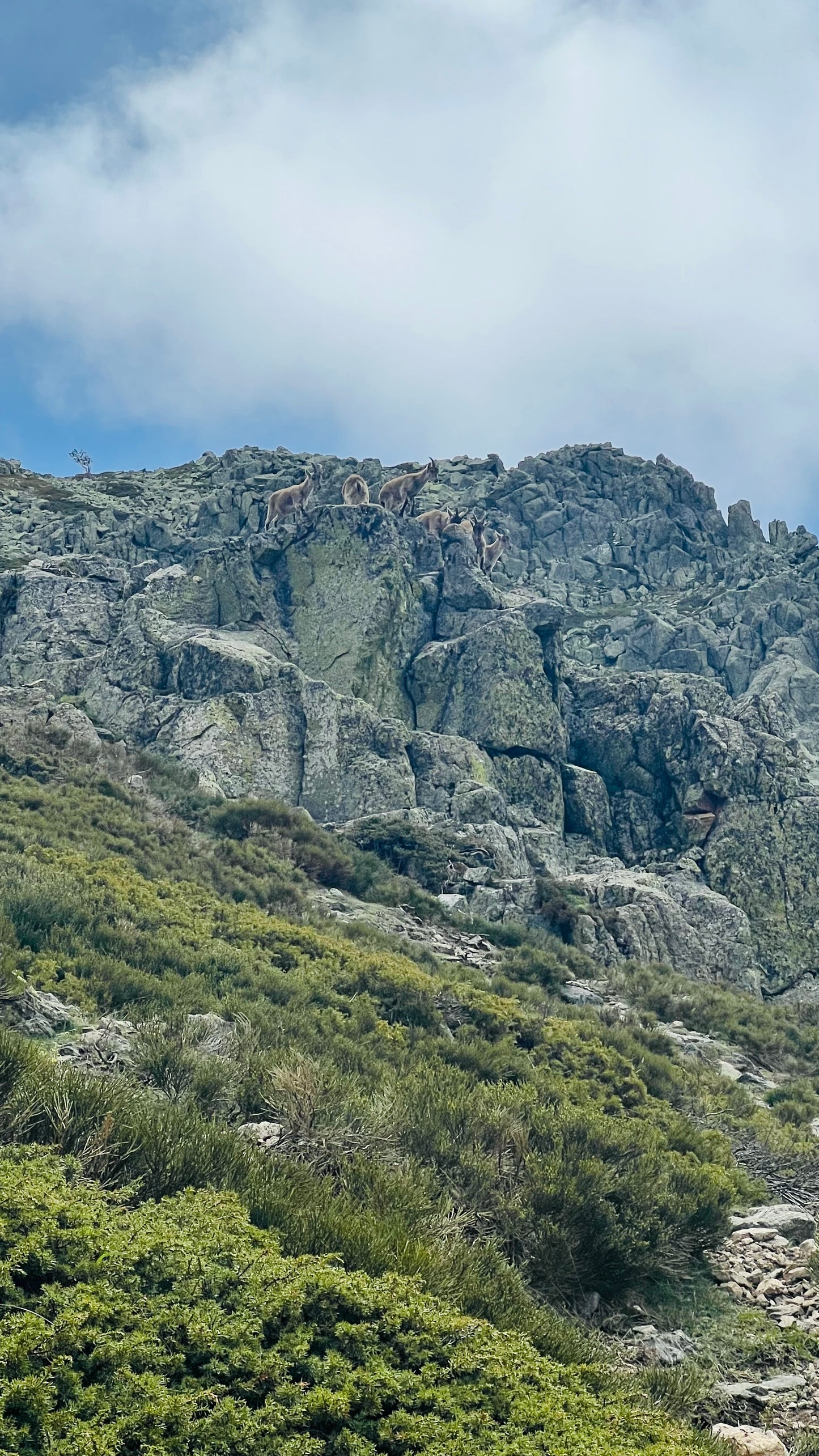 Saturday 7th sep: Hiking - Bola del Mundo - Maliciosa Peak. 15km. Hard Level