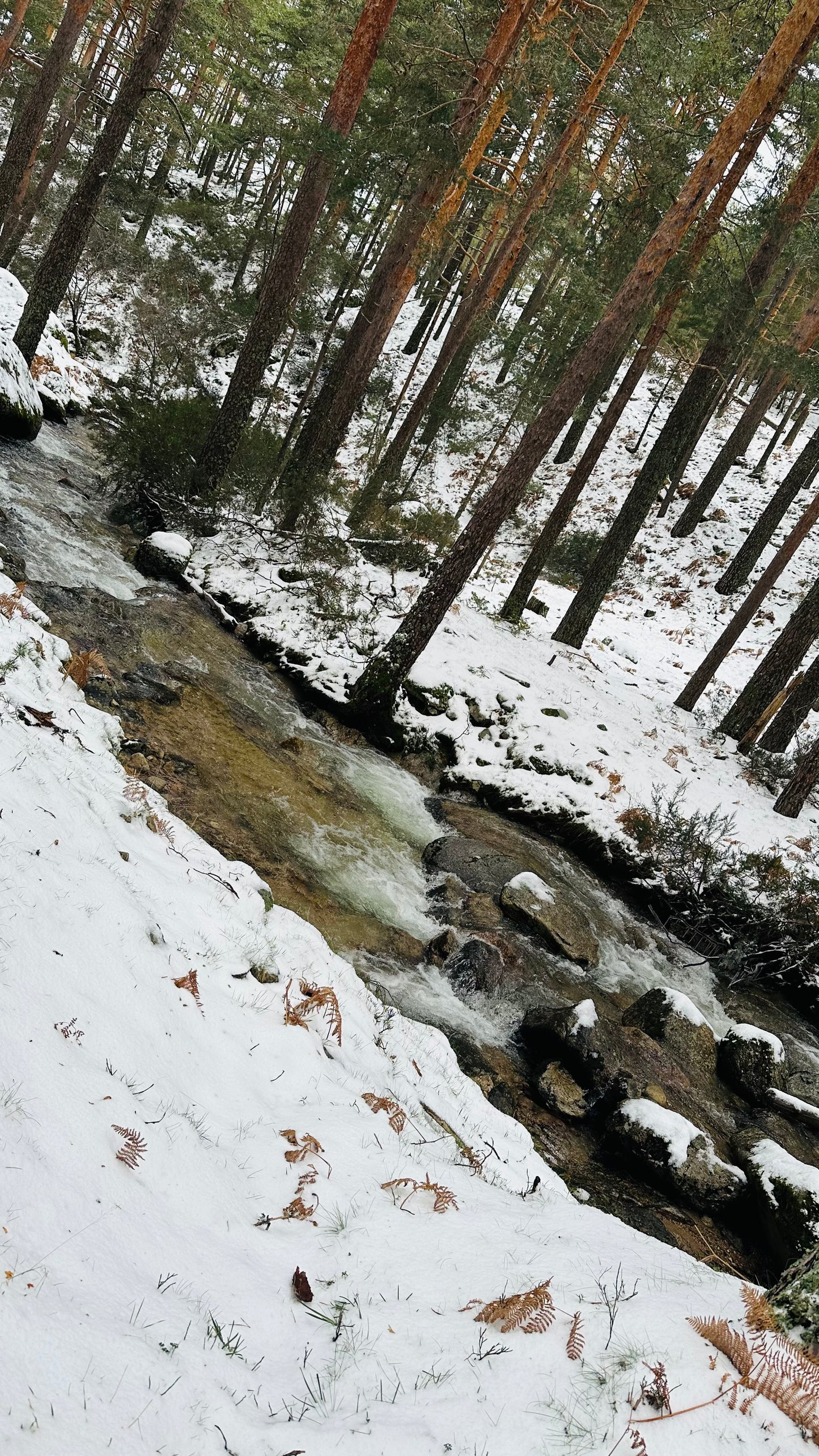 Sunday, Oct 13th. Hiking- Las Cabrillas-Navacerrada. 14KM. Medium Level