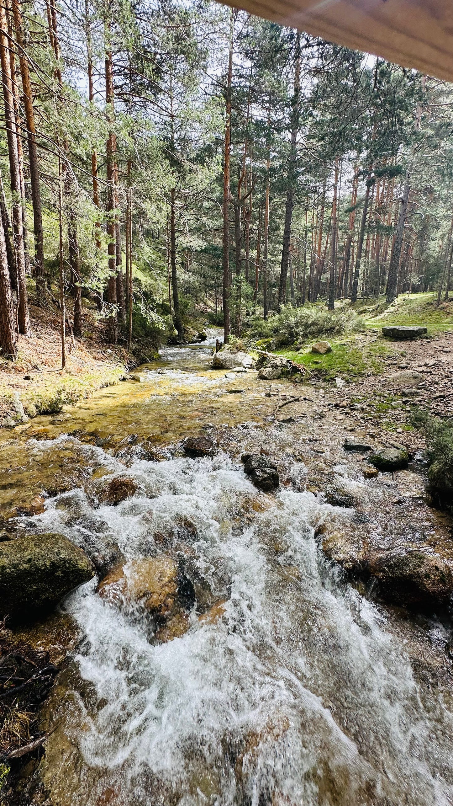 Sunday 8th sep: New Hiking Trail. Praderas Machorra Y Navalazor. 14km Medium level