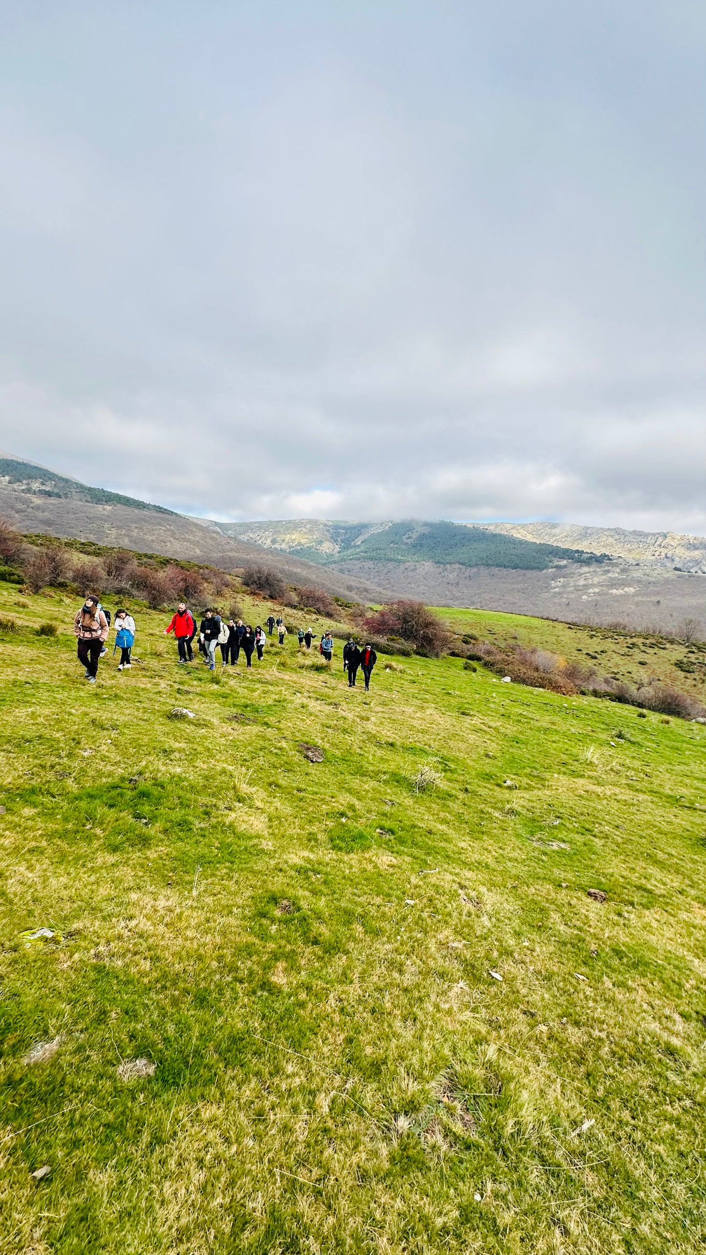 Sábado 6 de julio. Senderismo. 7 Picos ( 7 picos ) - Collado Ventoso. 12KM. Nivel dificil