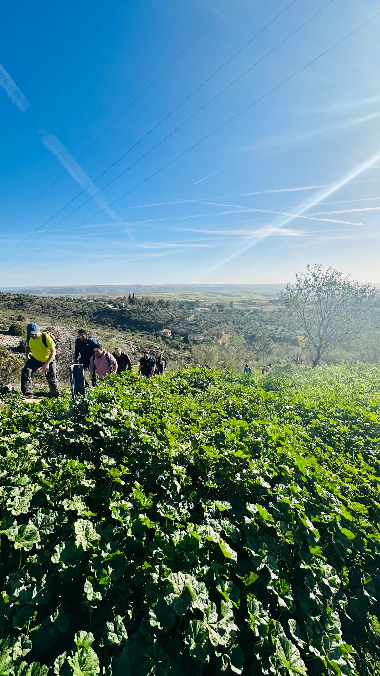 Saturday, 2nd Nov. Hiking - TorreLaguna - Patones de Ariba. 16km. Hard Level