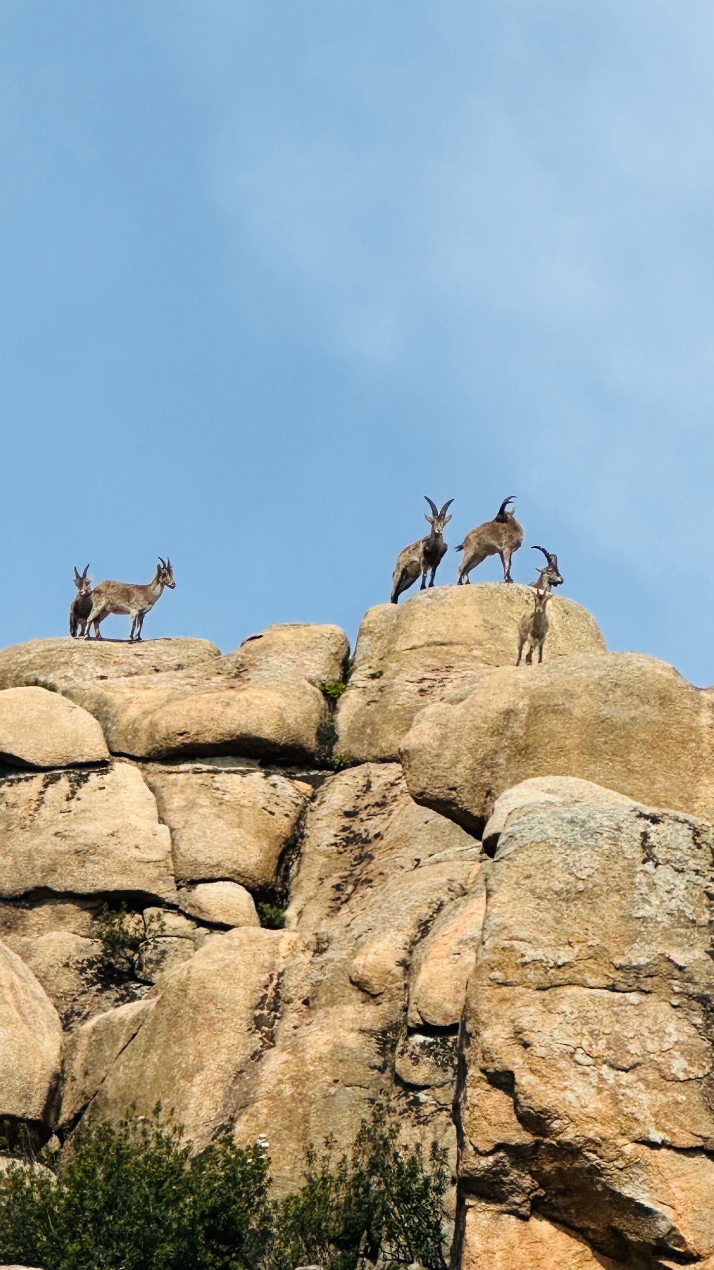 Sunday, 6th OCT- Hiking - La Pedriza. Manzanares el Real. Medium Level, 8km