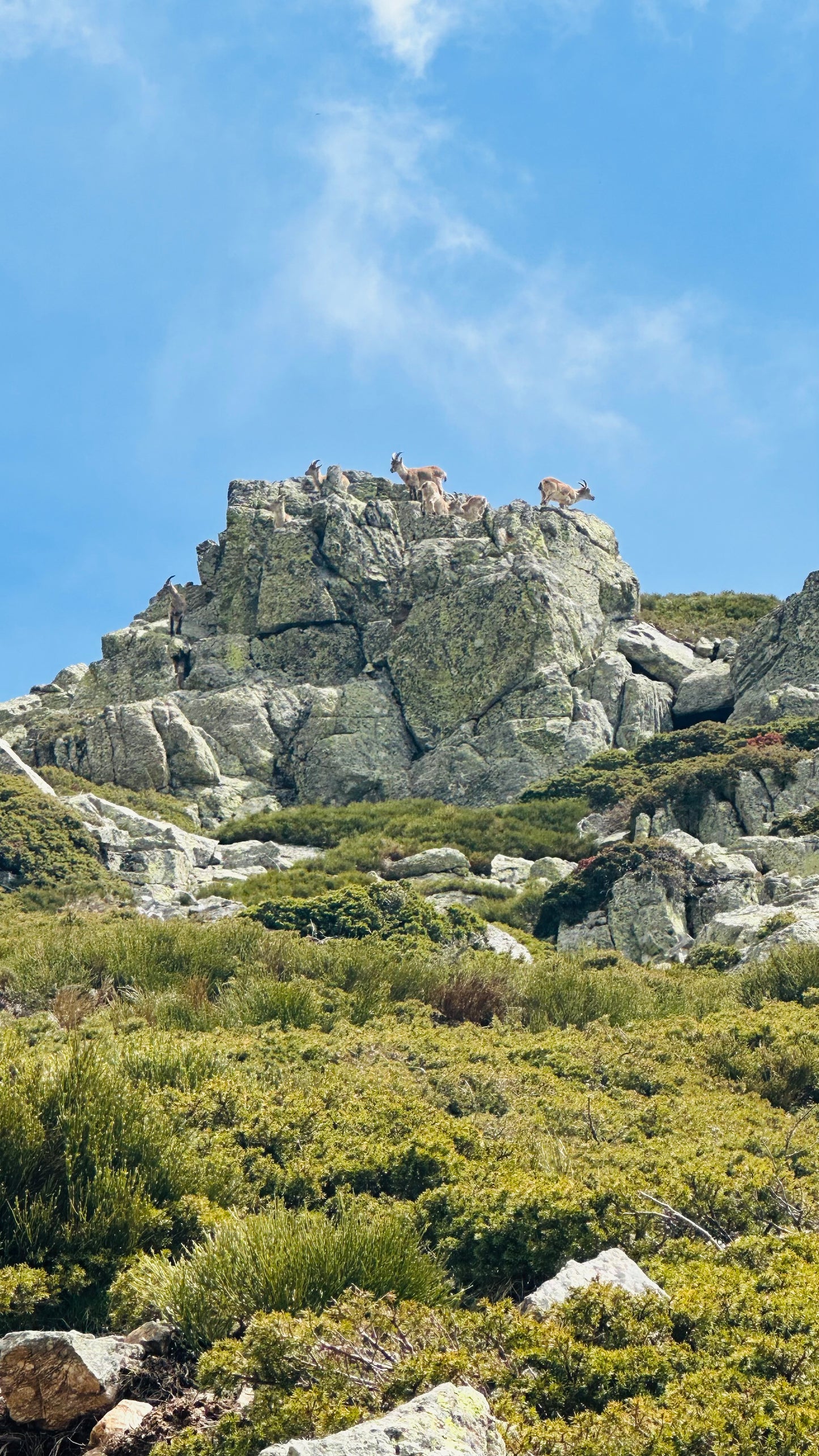 Saturday 7th sep: Hiking - Bola del Mundo - Maliciosa Peak. 15km. Hard Level