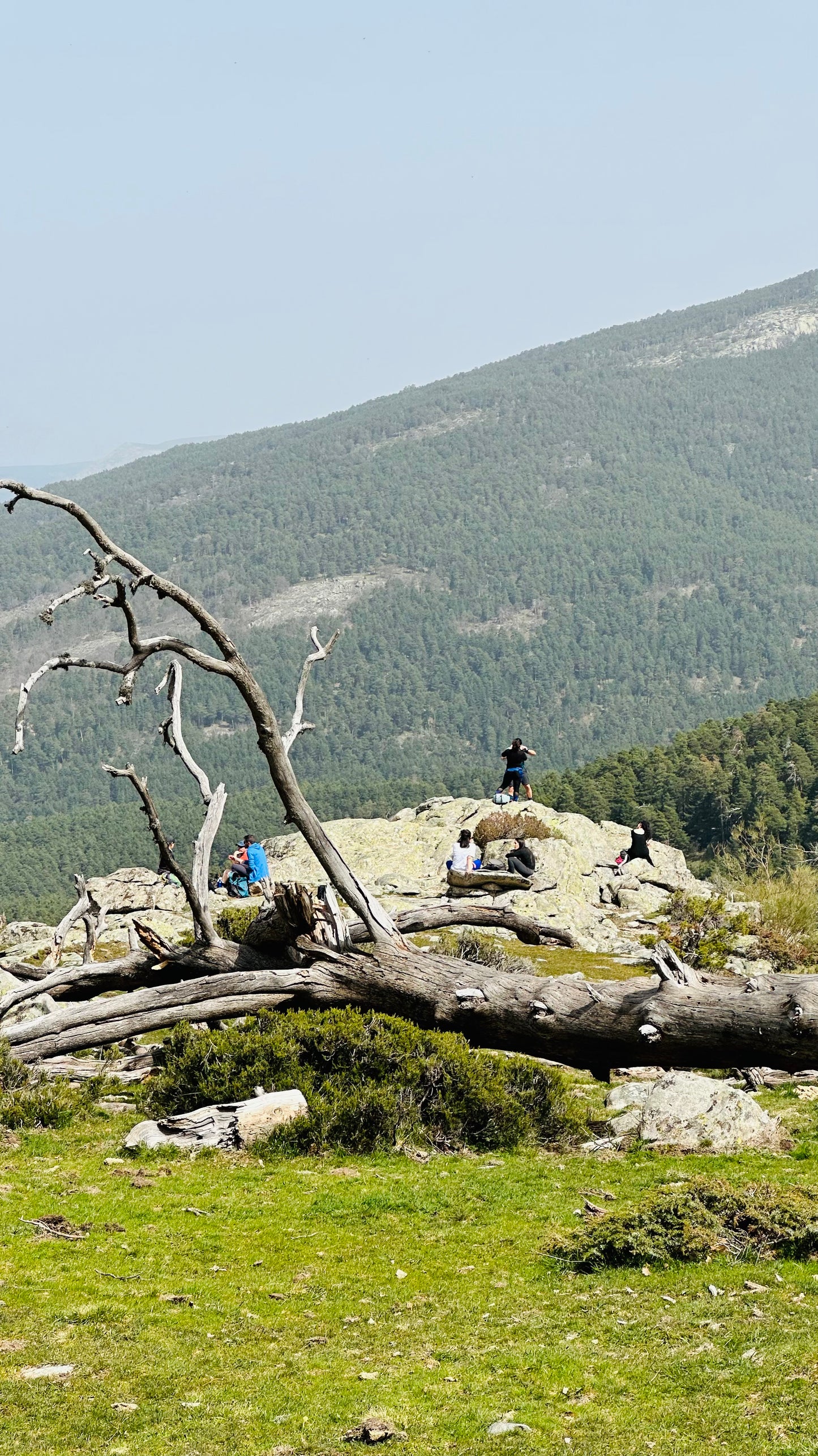 Saturday, Oct 26th. Hiking- Puerto de fuenfria-Fuente de la Reina . 18km Hard level