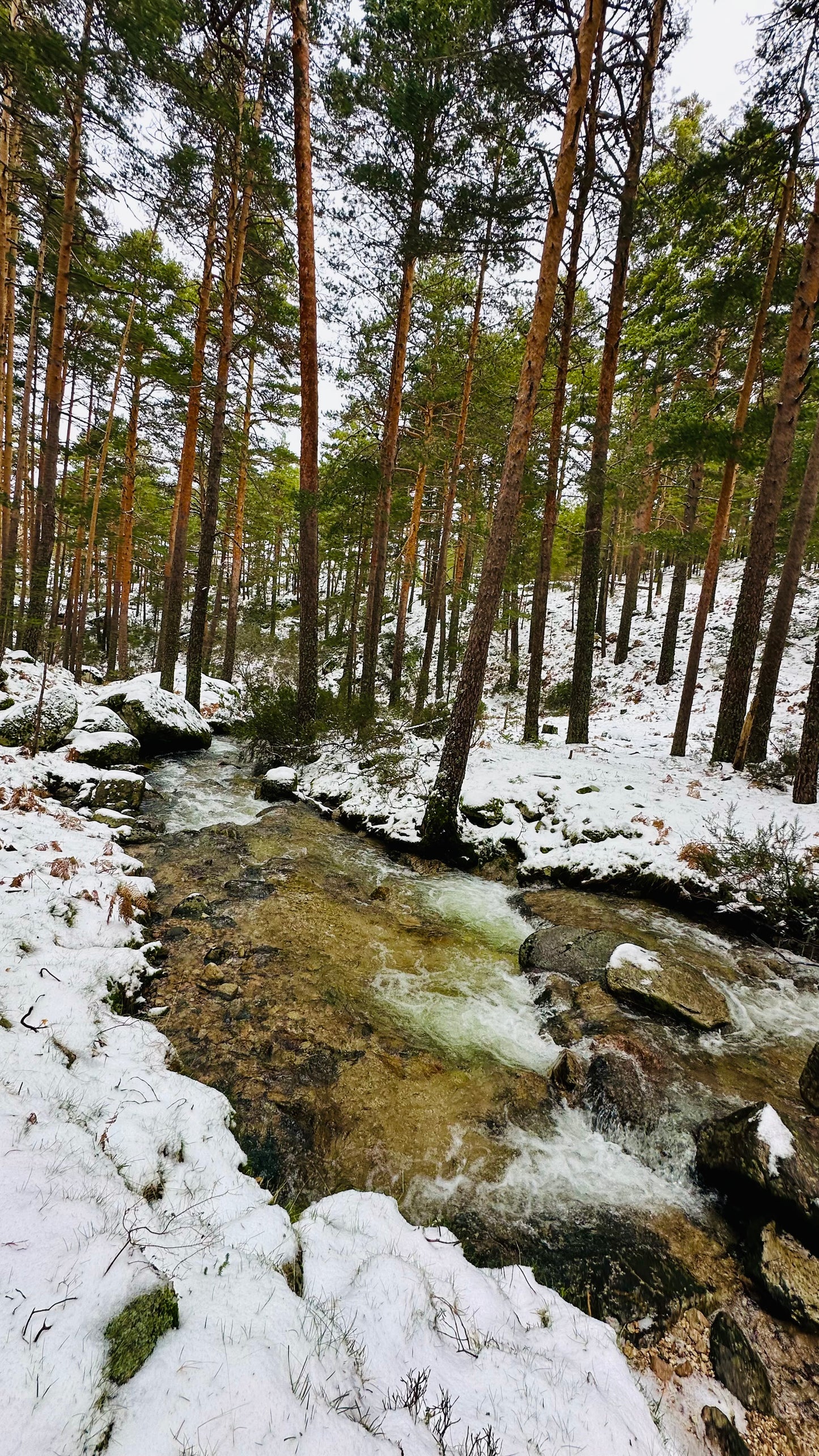 Sunday 8th sep: New Hiking Trail. Praderas Machorra Y Navalazor. 14km Medium level