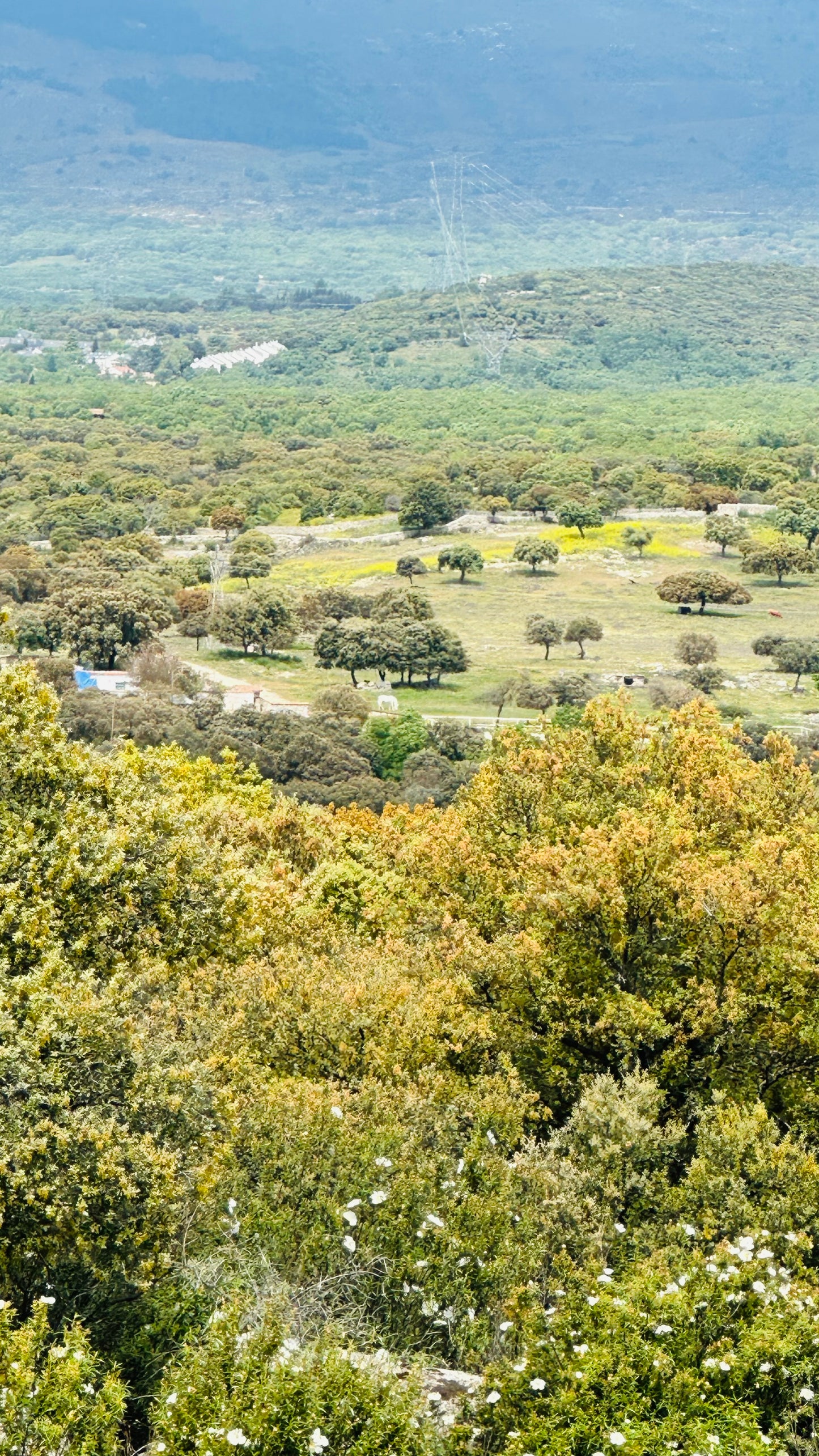 Sunday 27th Oct 🍂 Autumn fall Hike 🍁 Collado mediano. Nature and Old Ruins. 10KM Basic Level