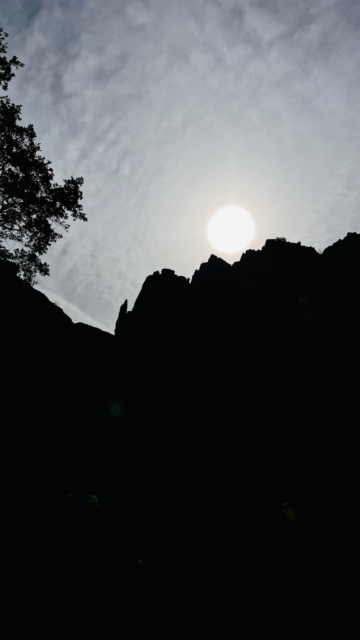 Full MOON 🌕 Night Hiking, Pueblo Navacerrada-Mirador de las canchas. 14km