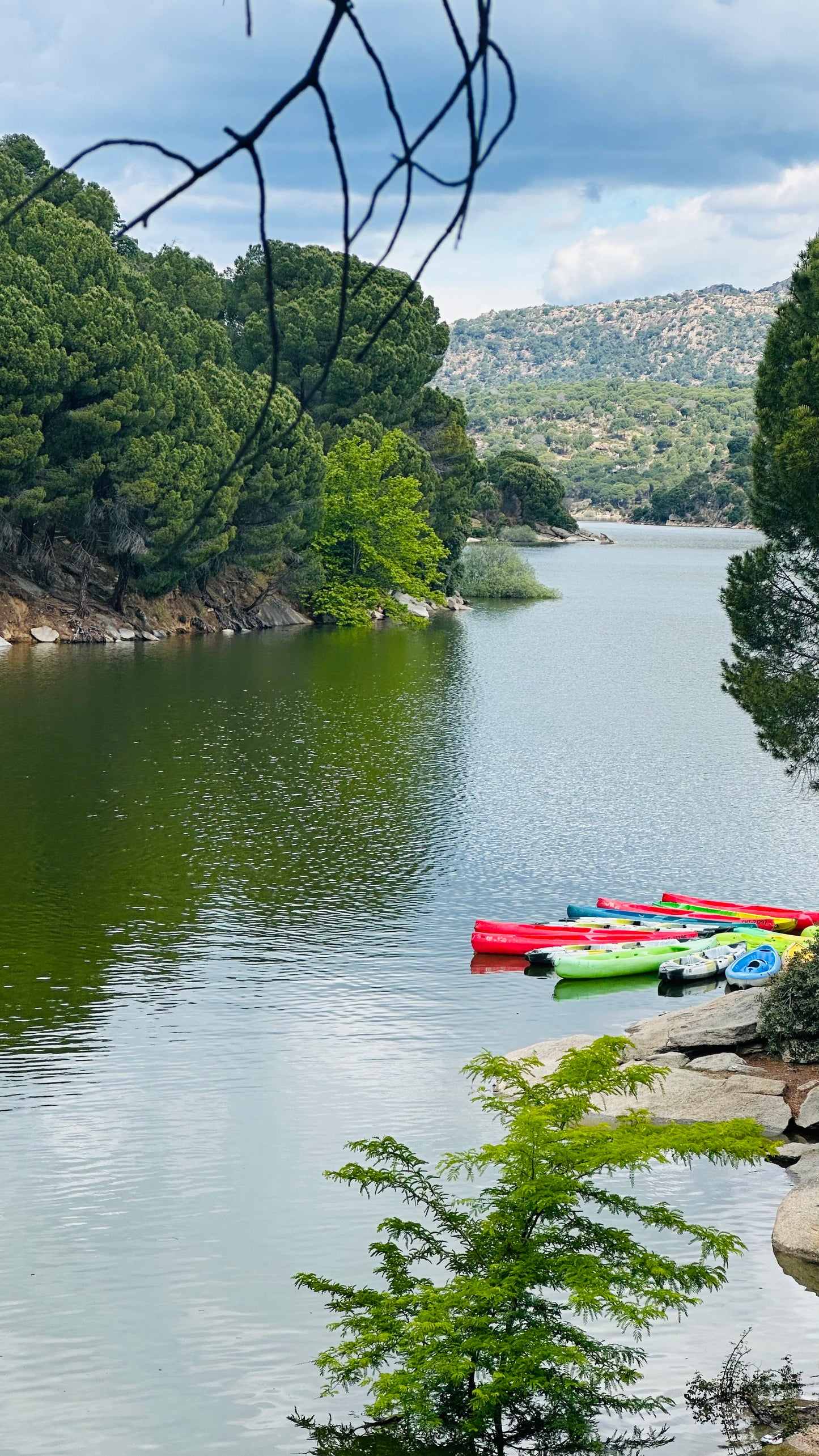 Sunday 7th july: Hiking - Pelayos de la Presa. Pantano de San Juan (reservoir) basic level. 6km