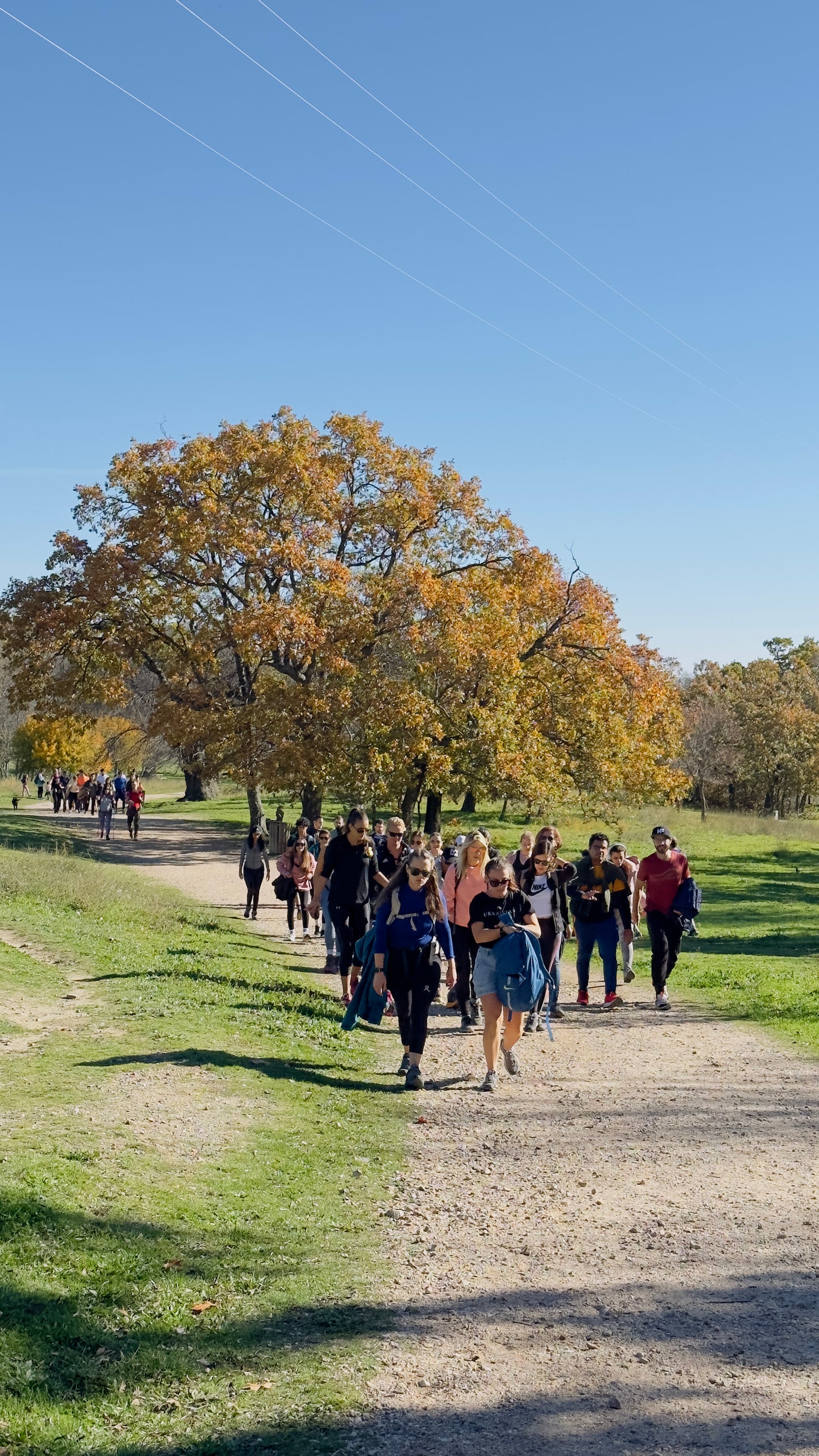 Sunday 20th OCT: 🍂 Autumn fall Hike 🍁 Mirador monte abantos. San Lorenzo de el Escorial. 8KM. Medium Level