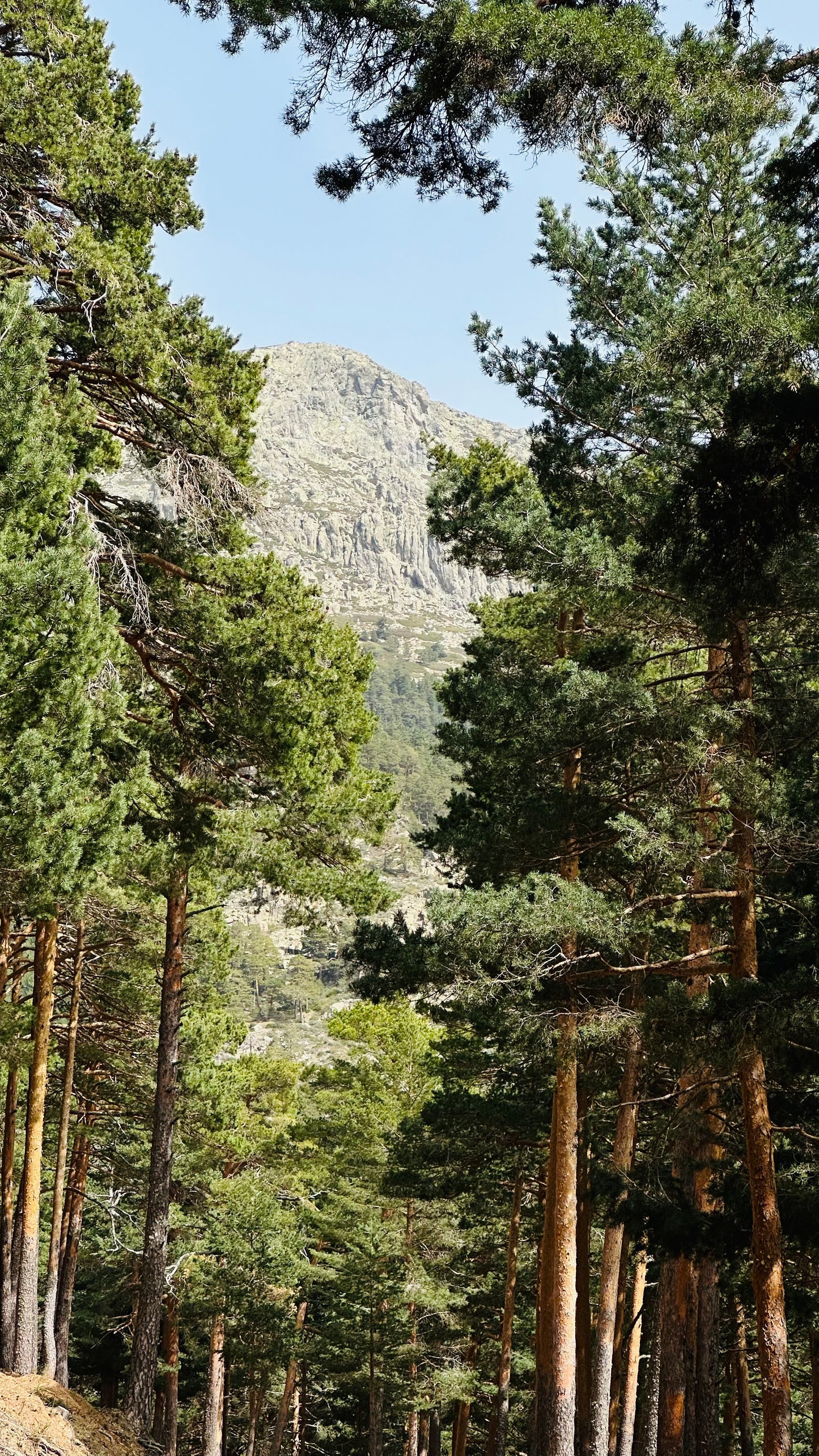 Saturday 7th sep: Hiking - Bola del Mundo - Maliciosa Peak. 15km. Hard Level