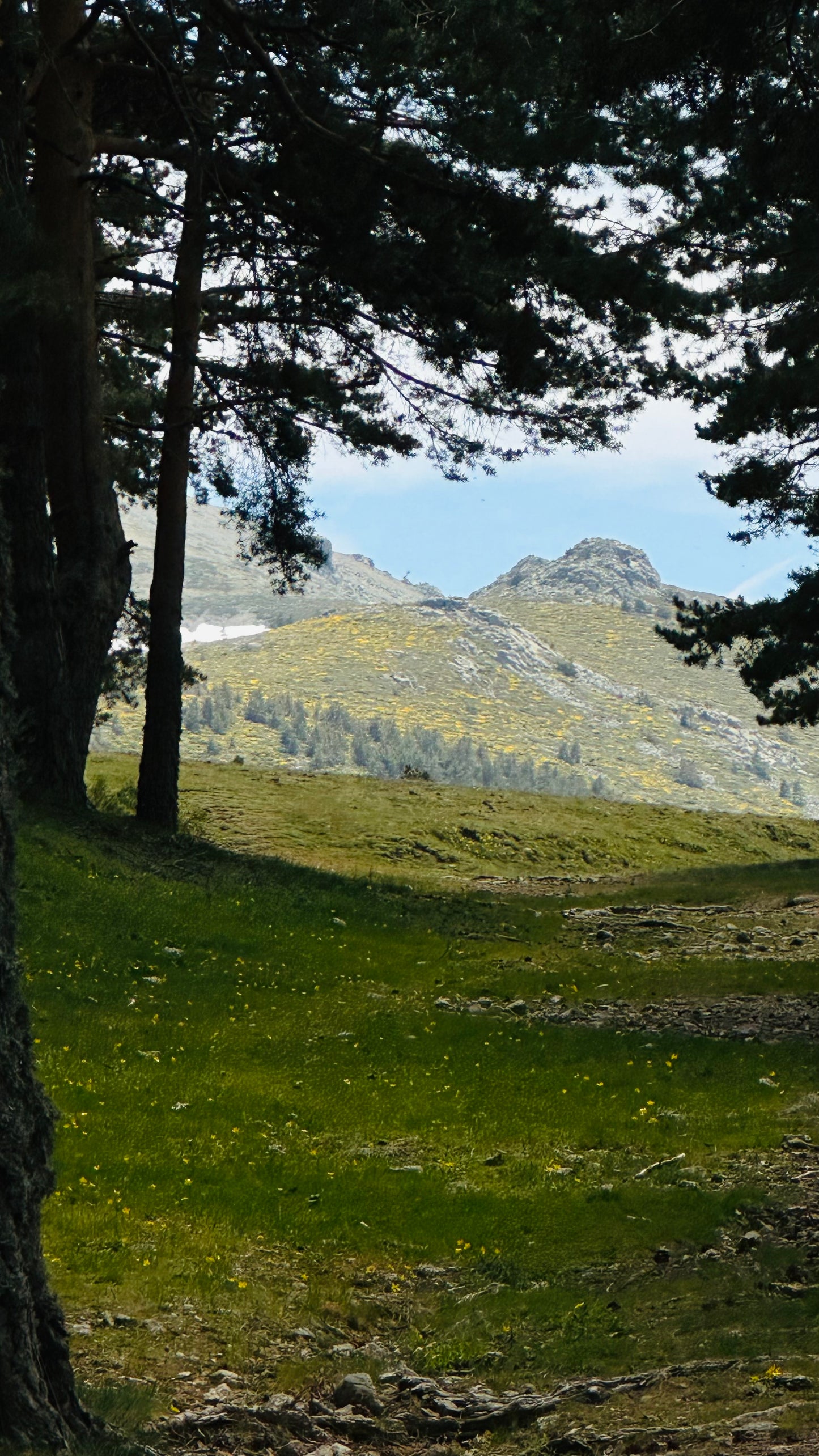 Sunday, 18th august. Hiking - Ruta de Agua. Puerto de Cotos. Medium Hard Level