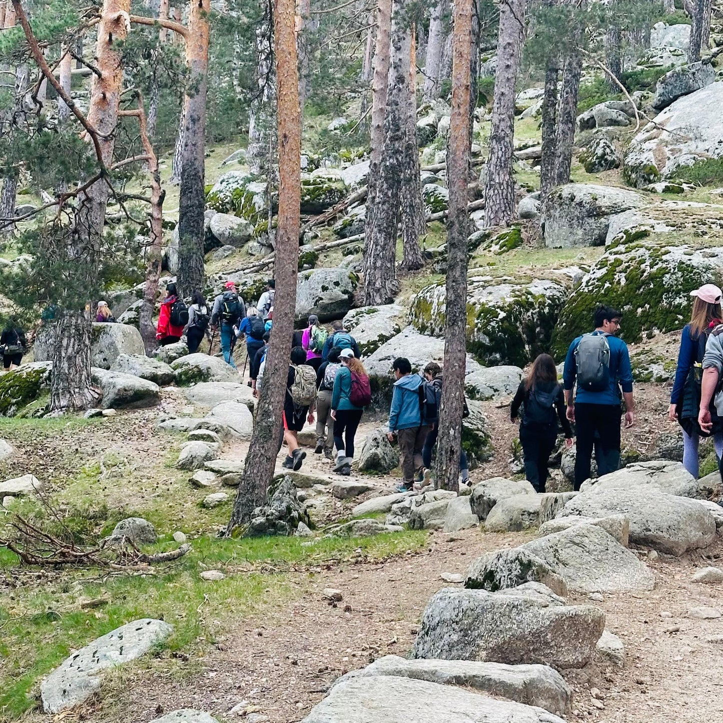 Sunday.22nd Sep. Hiking - Mirador de la Riena -Collado Ventoso.Camino schmidt. Medium Level. 13KM