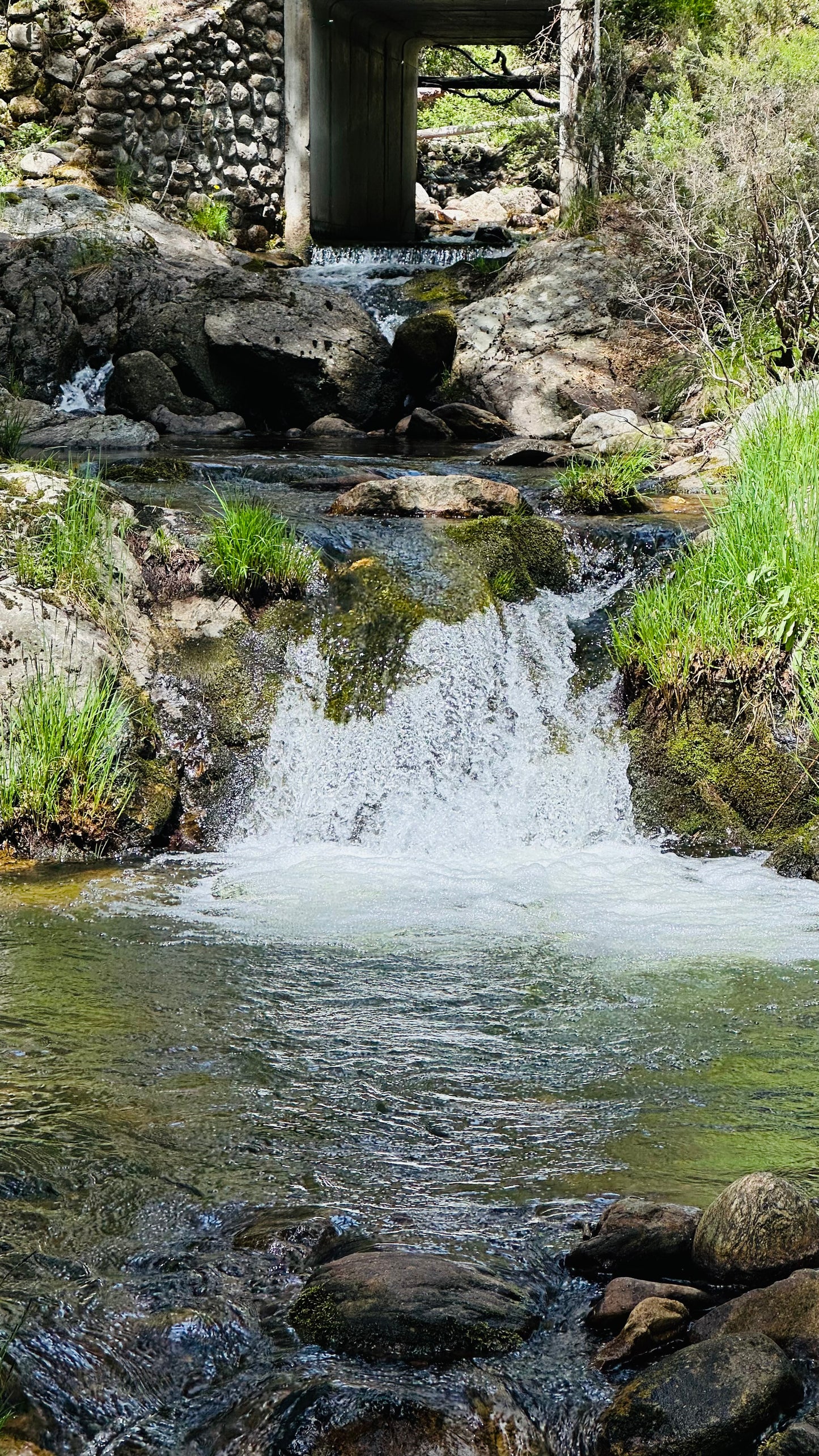 Domingo 14 de julio. Senderismo - Ruta de Agua. Puerto de Cotos. Nivel medio duro