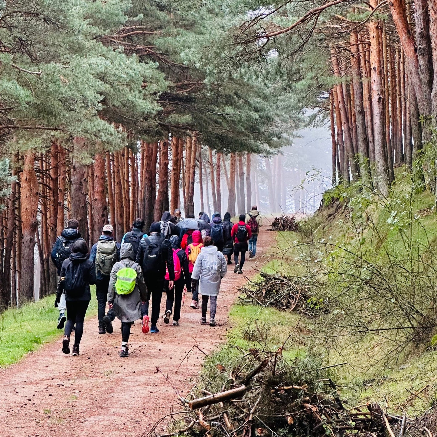 Sunday, 29th sep. Hiking : Lake, Forest, Mountain. Parada del Rey miraflores. Medium Hard 10KM