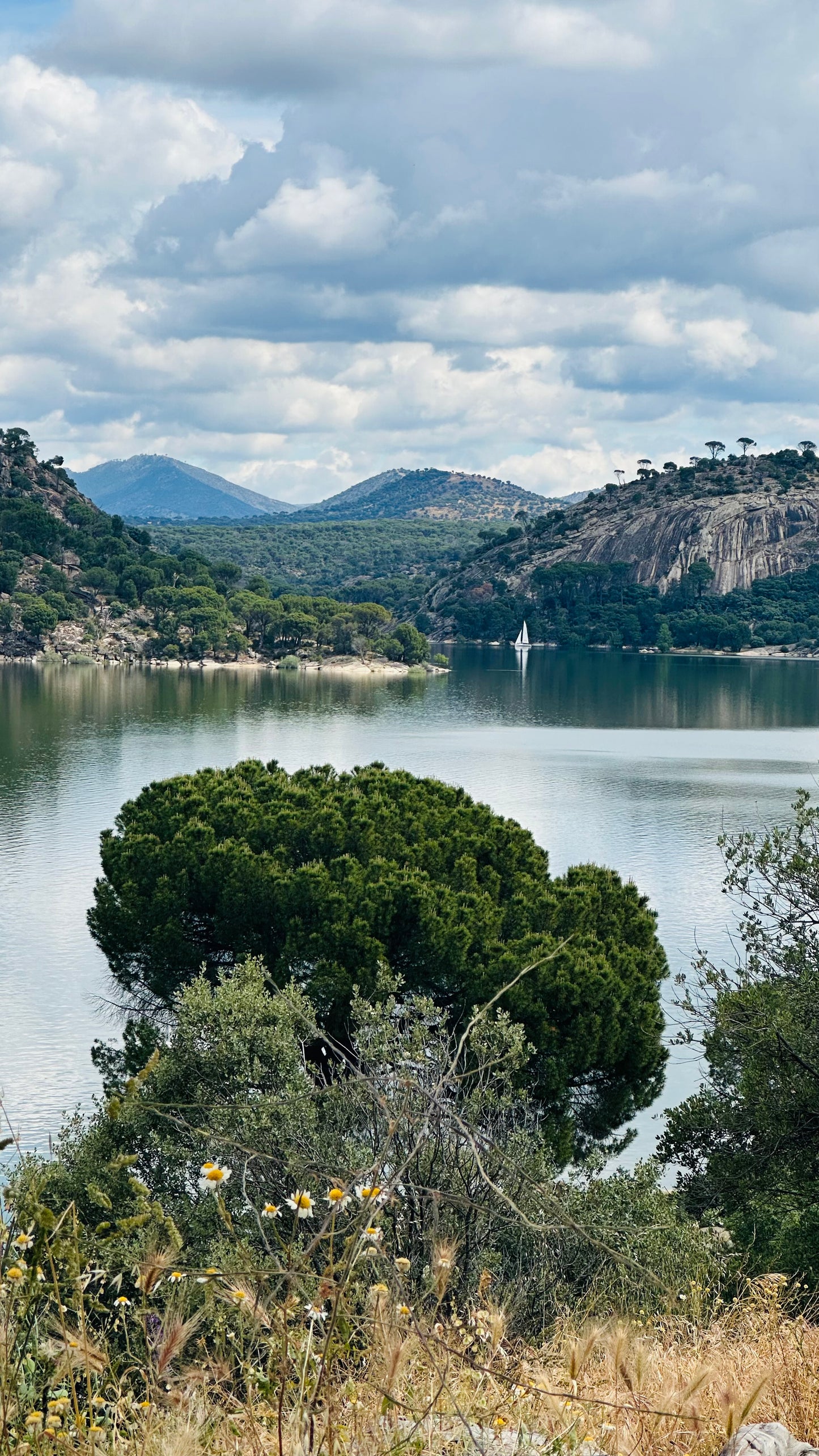 Sunday 7th july: Hiking - Pelayos de la Presa. Pantano de San Juan (reservoir) basic level. 6km