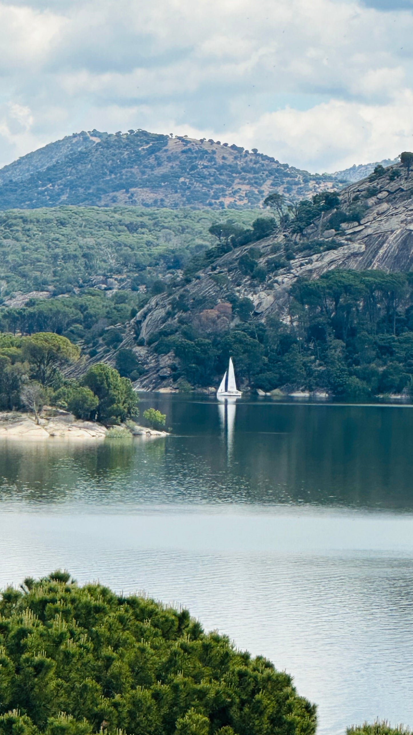 Sunday 7th july: Hiking - Pelayos de la Presa. Pantano de San Juan (reservoir) basic level. 6km