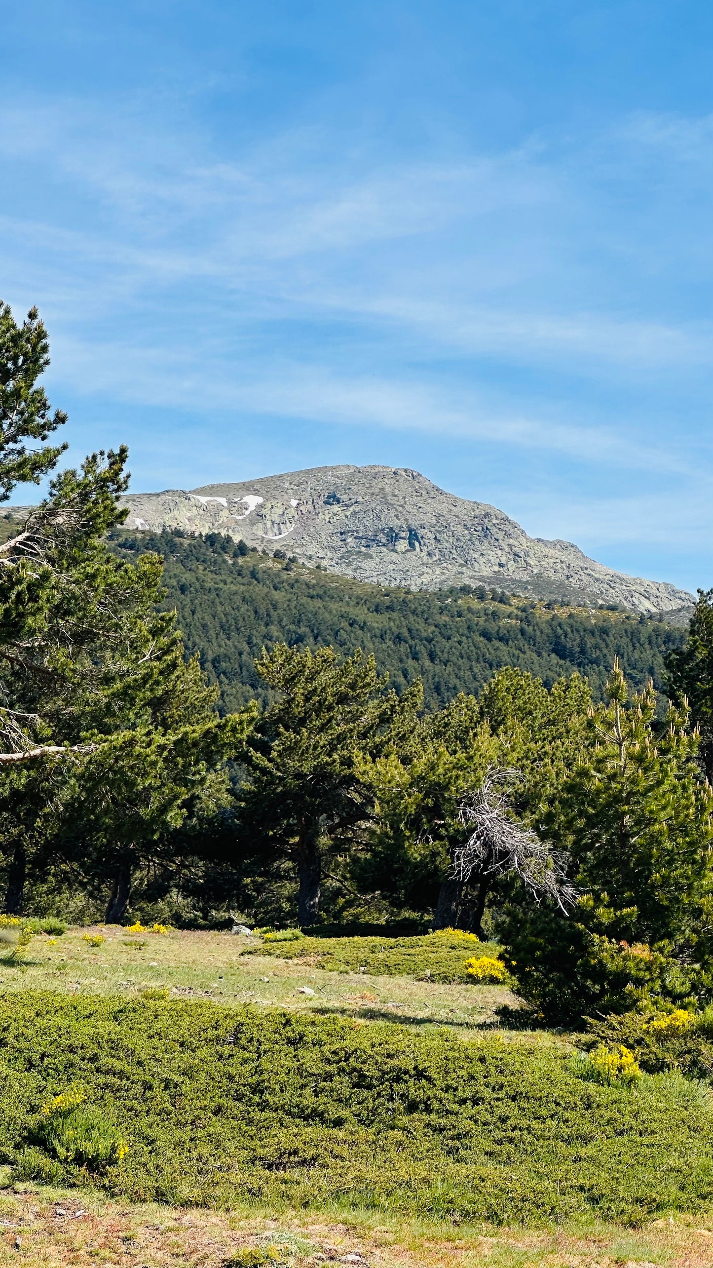 Sunday, 18th august. Hiking - Ruta de Agua. Puerto de Cotos. Medium Hard Level