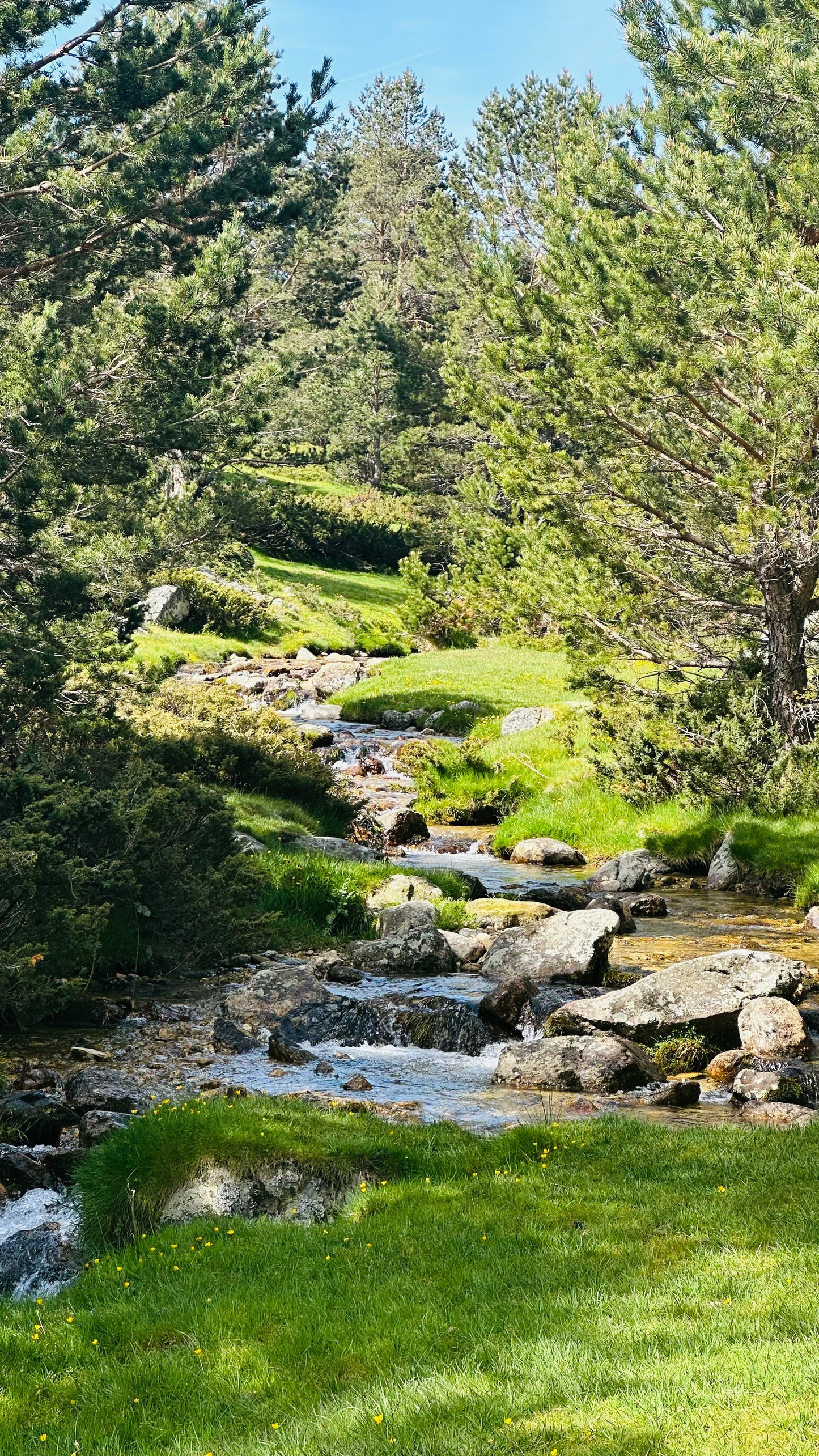 Sunday, 18th august. Hiking - Ruta de Agua. Puerto de Cotos. Medium Hard Level