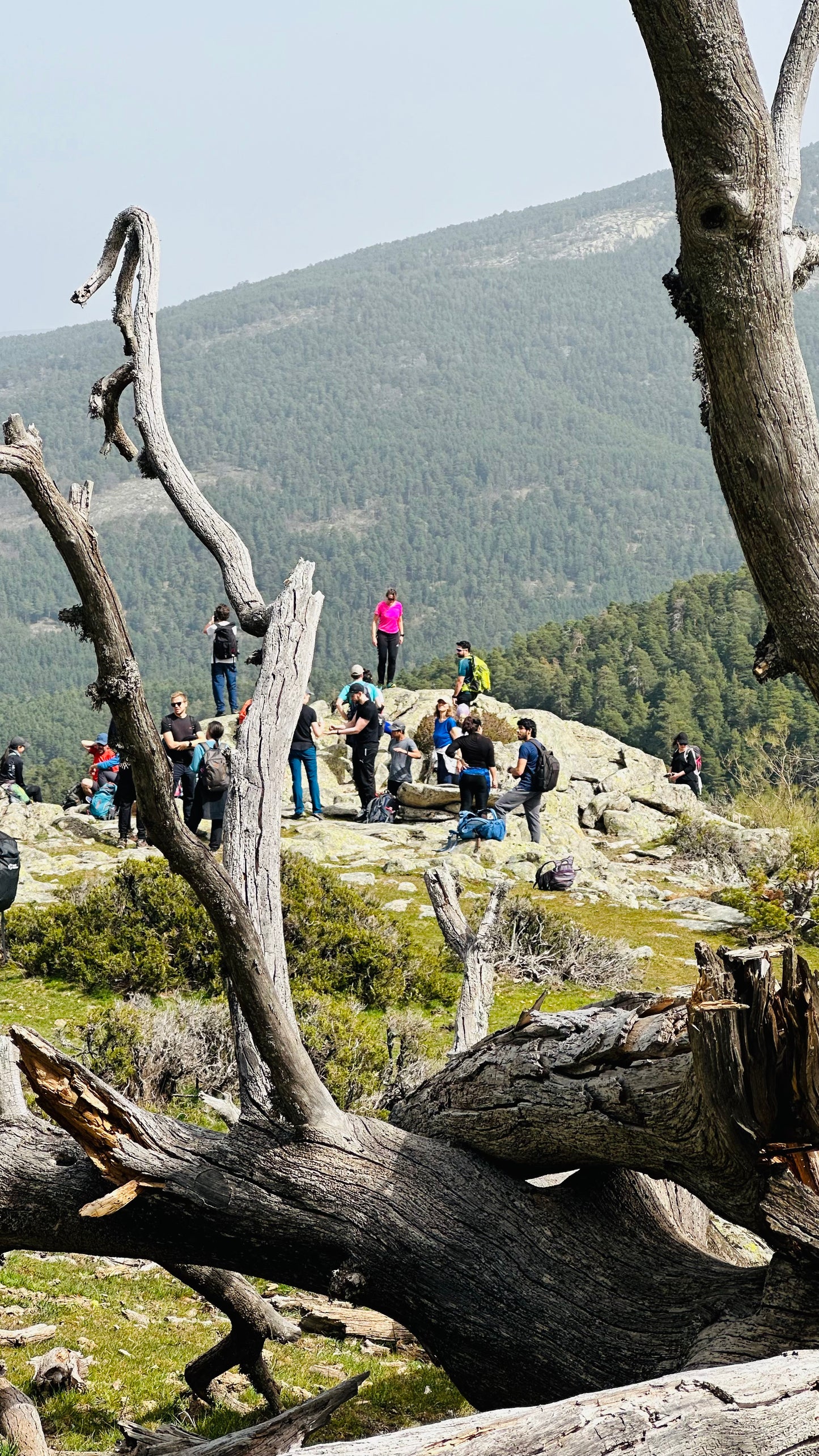 Saturday, Oct 26th. Hiking- Puerto de fuenfria-Fuente de la Reina . 18km Hard level