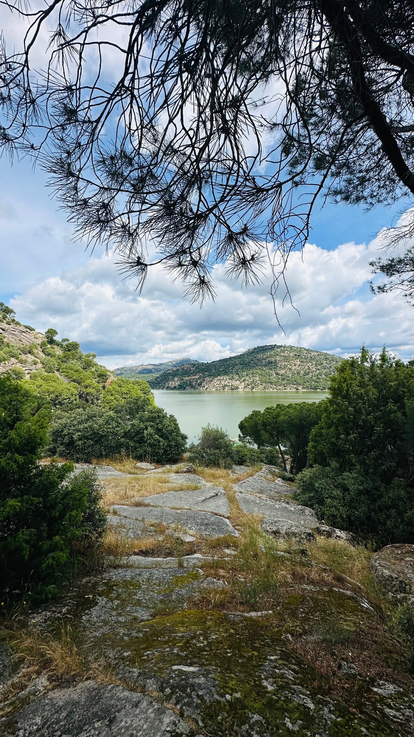 Sunday 7th july: Hiking - Pelayos de la Presa. Pantano de San Juan (reservoir) basic level. 6km