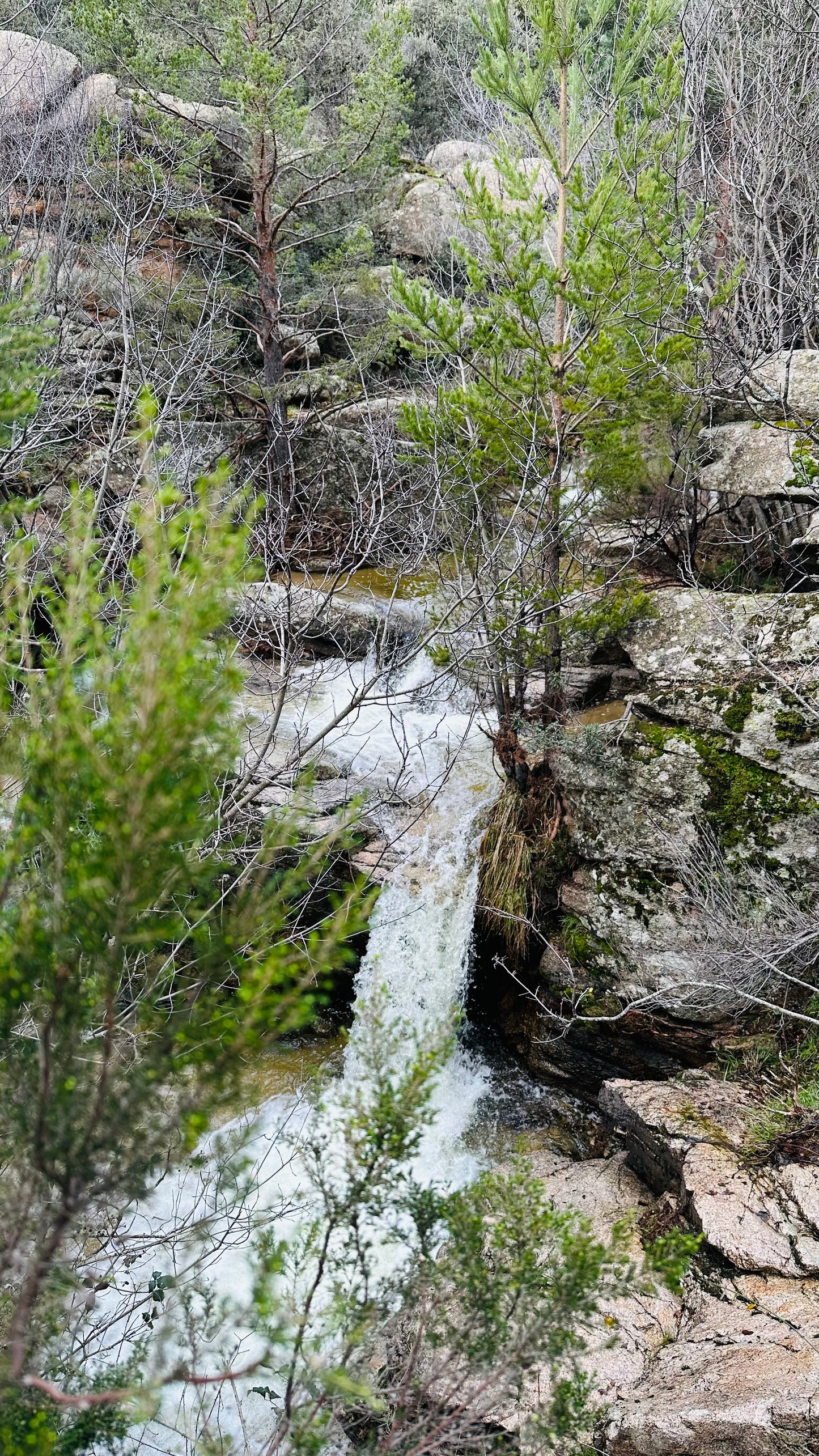 Firday 1st Nov. Hiking. Refugio Giner de los Ríos - La pedriza. Manzanares El Real. 15KM. Medium Level