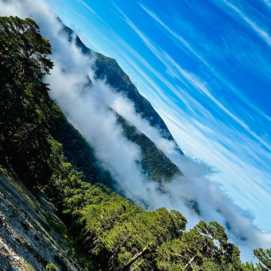 Saturday, Oct 26th. Hiking- Puerto de fuenfria-Fuente de la Reina . 18km Hard level