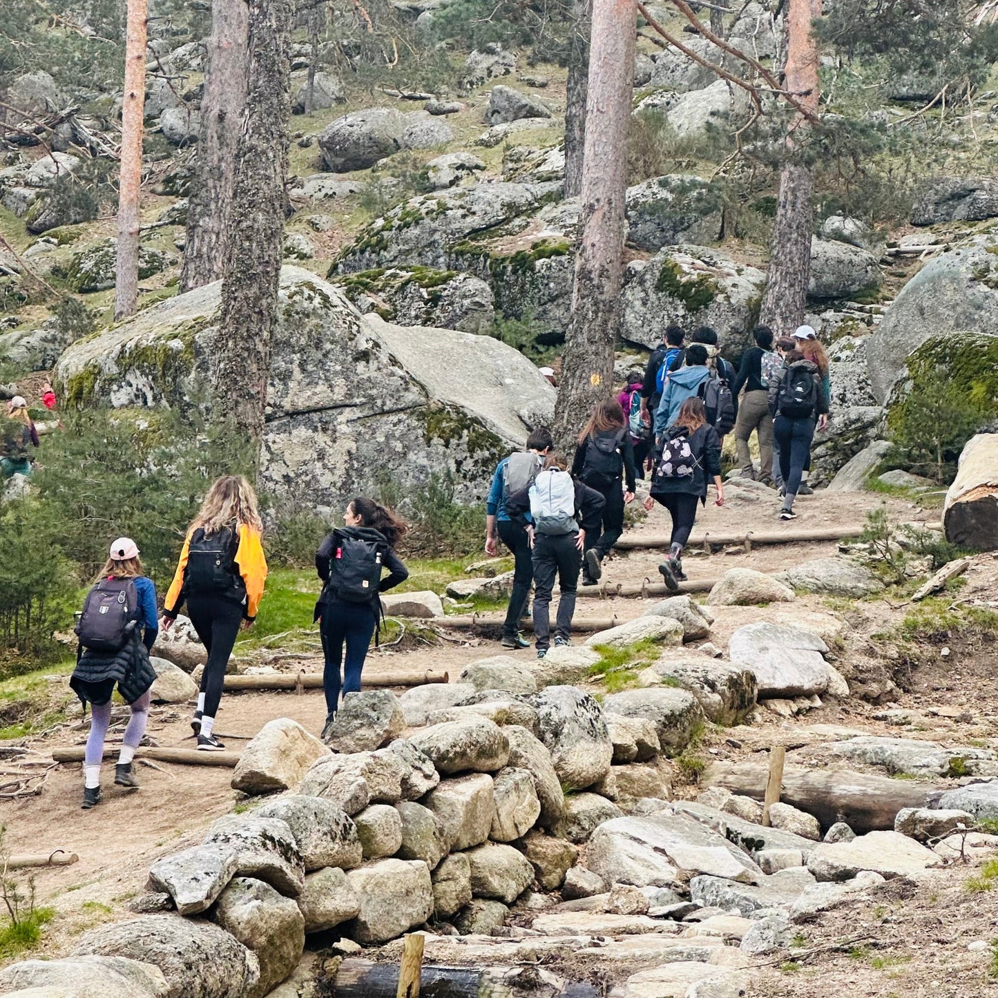 Senderismo - Mirador de la Riena -Collado Ventoso.Camino schmidt. Nivel medio. 13KM