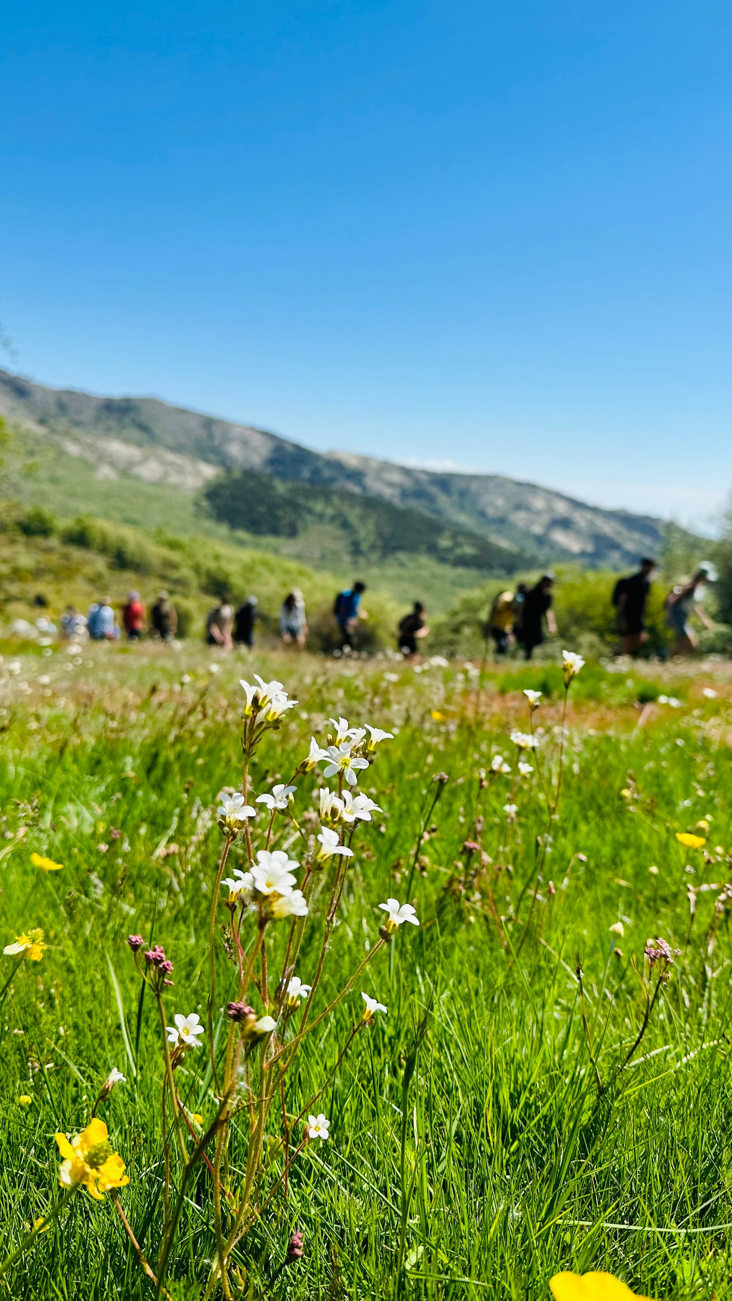 Sábado 6 de julio. Senderismo. 7 Picos ( 7 picos ) - Collado Ventoso. 12KM. Nivel dificil