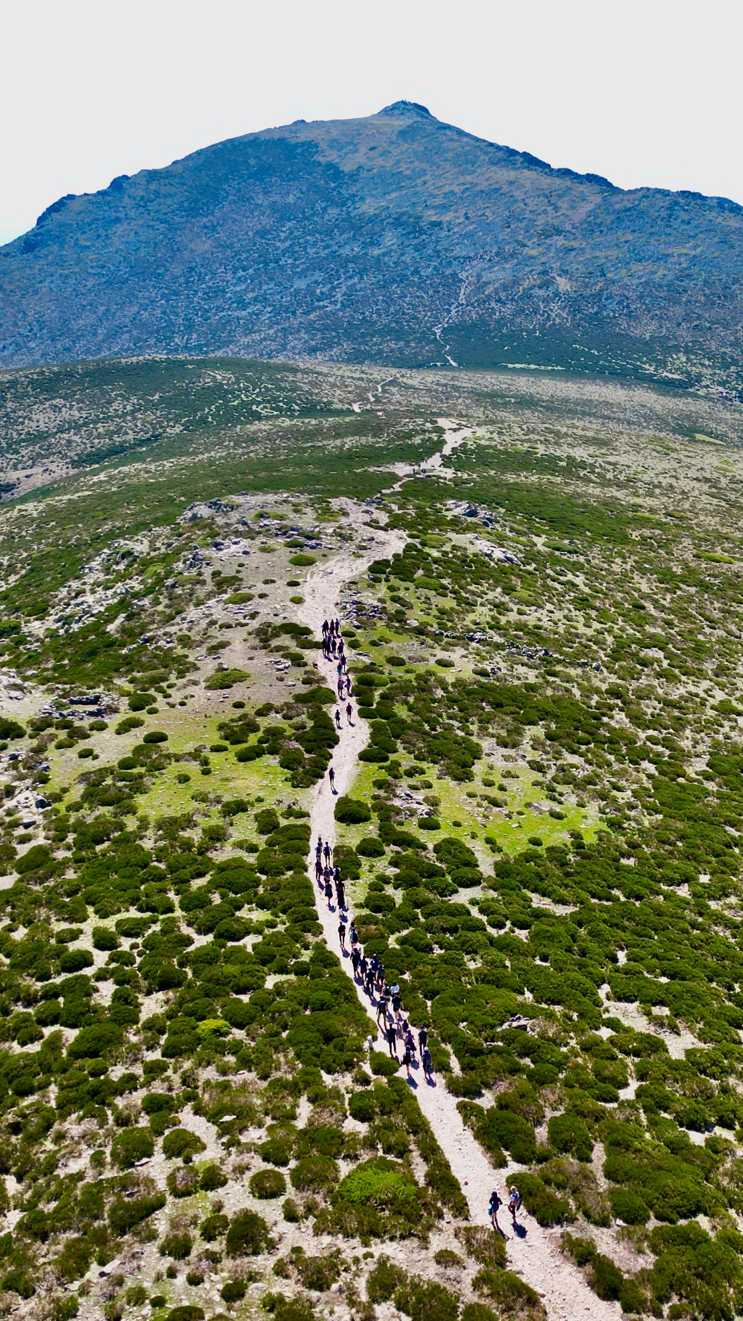 Saturday 7th sep: Hiking - Bola del Mundo - Maliciosa Peak. 15km. Hard Level