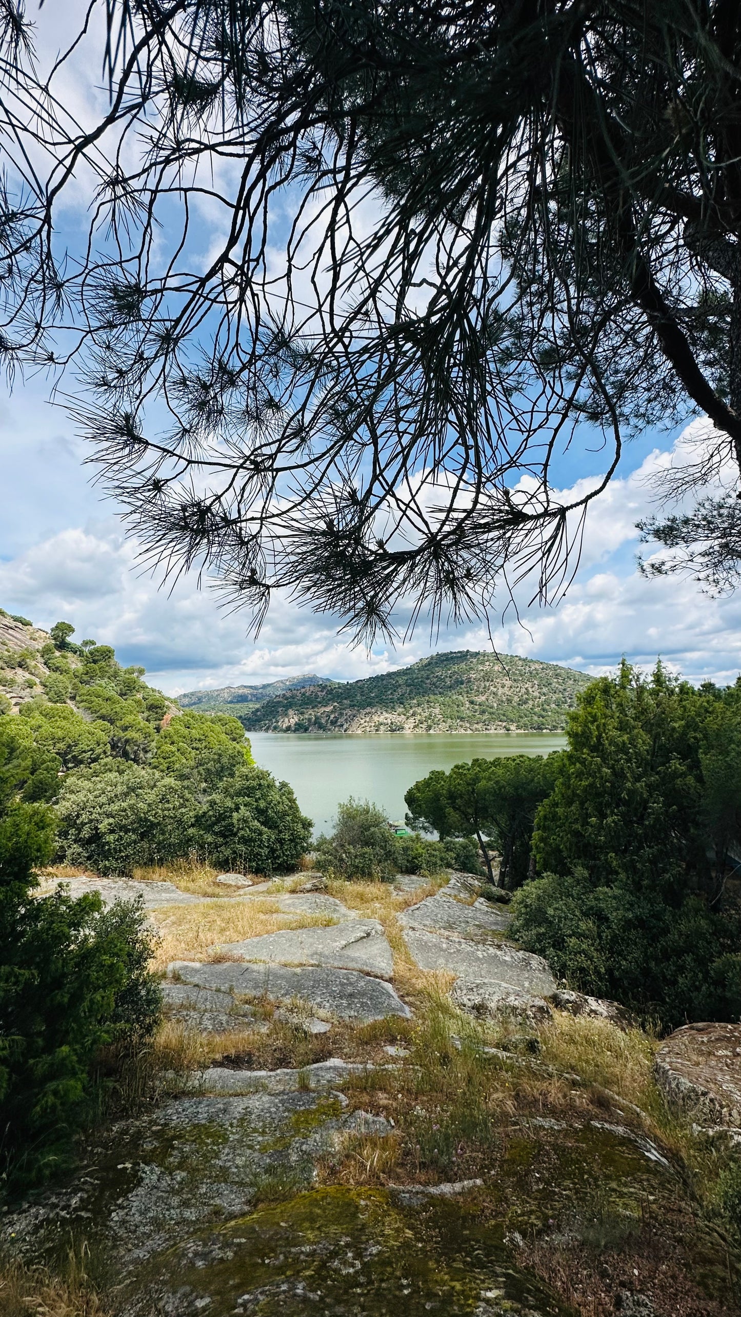 Sunday 7th july: Hiking - Pelayos de la Presa. Pantano de San Juan (reservoir) basic level. 6km