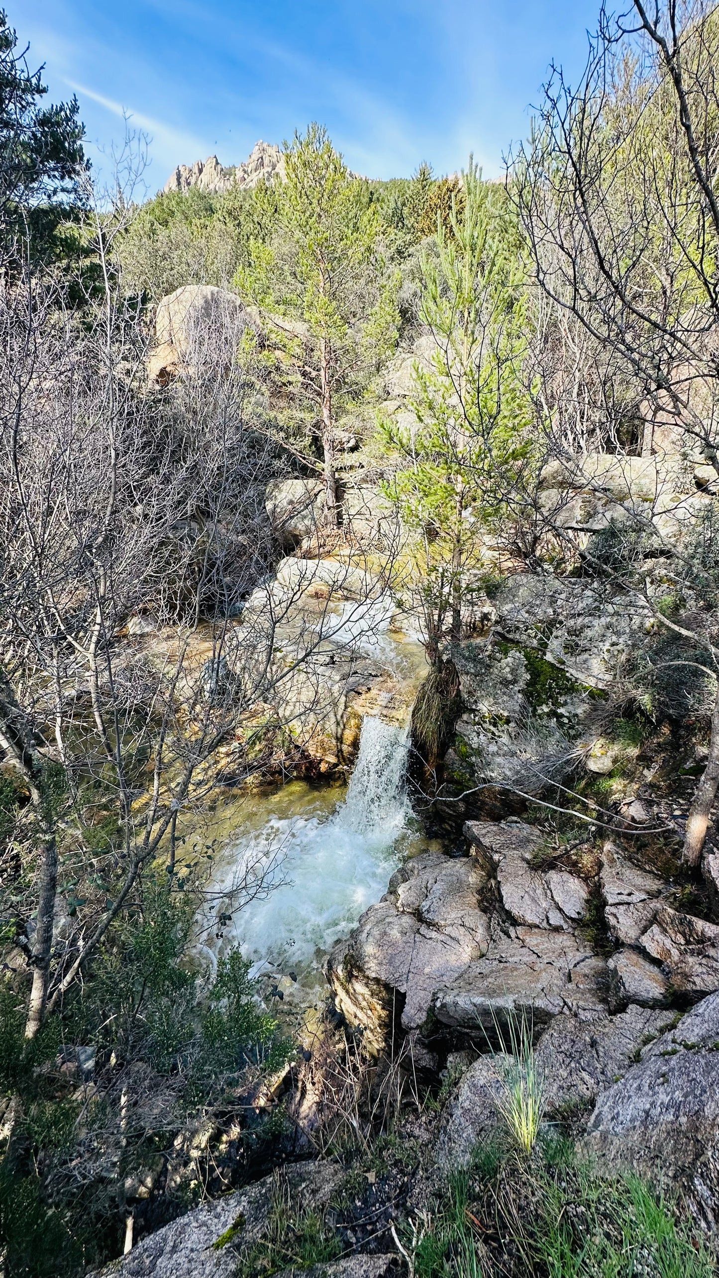 Firday 1st Nov. Hiking. Refugio Giner de los Ríos - La pedriza. Manzanares El Real. 15KM. Medium Level