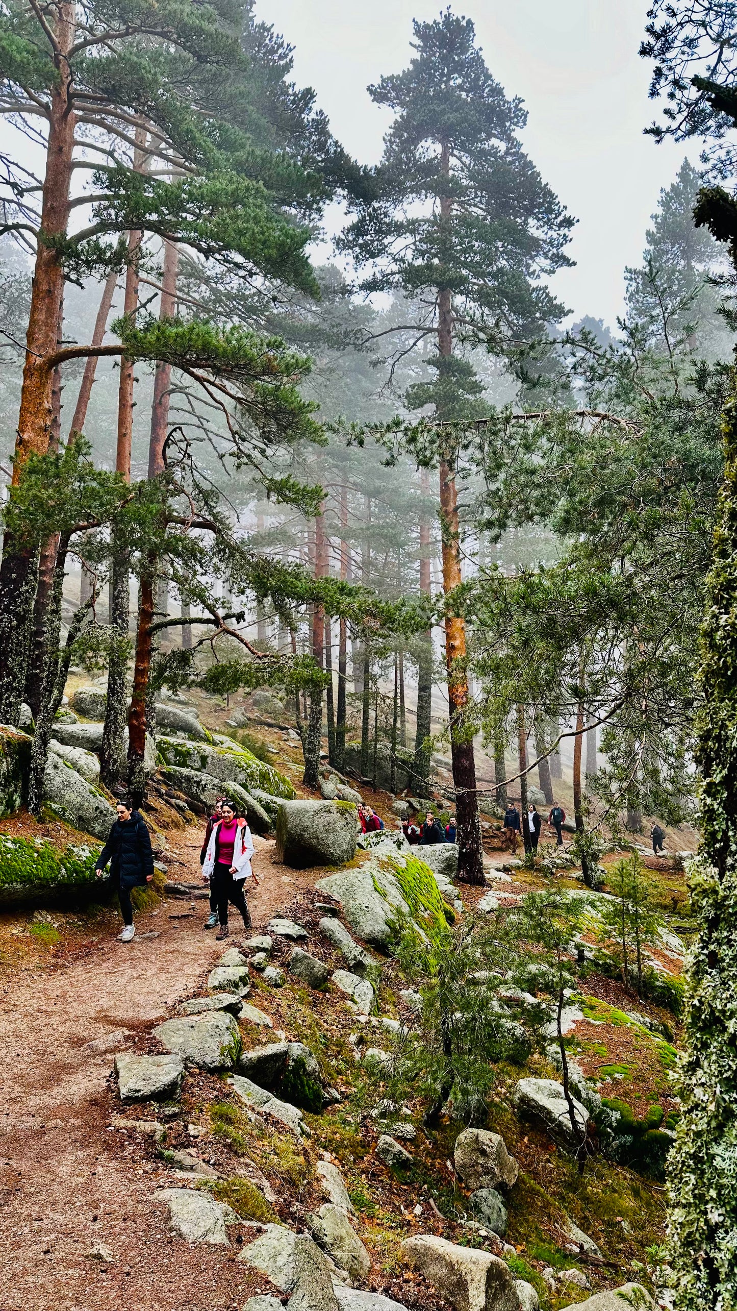 Sunday.22nd Sep. Hiking - Mirador de la Riena -Collado Ventoso.Camino schmidt. Medium Level. 13KM