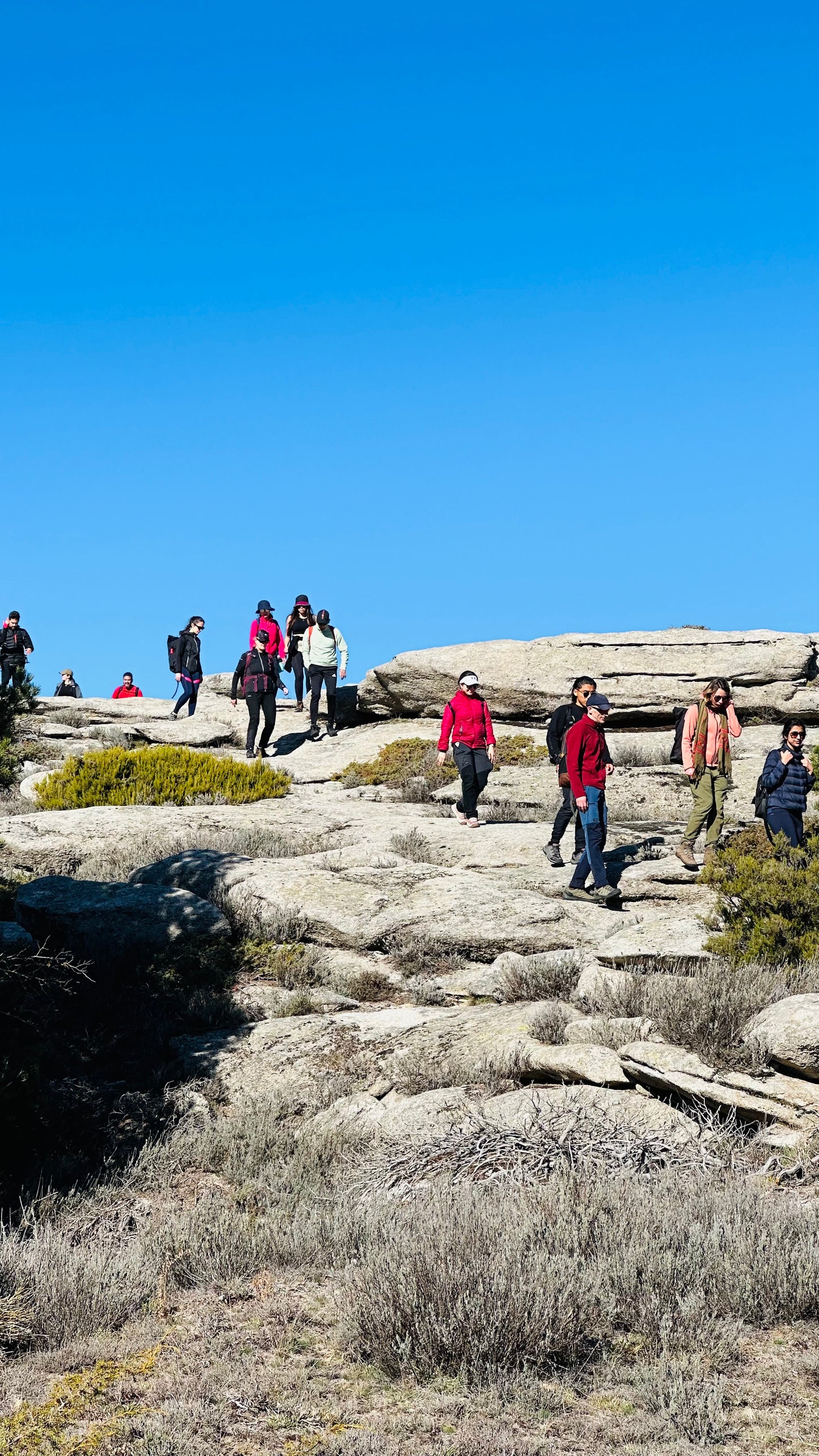 Saturday 5th OCT: Hiking-Puerto de Canencia -Bustarviejo. 14KM. Medium Hard Level