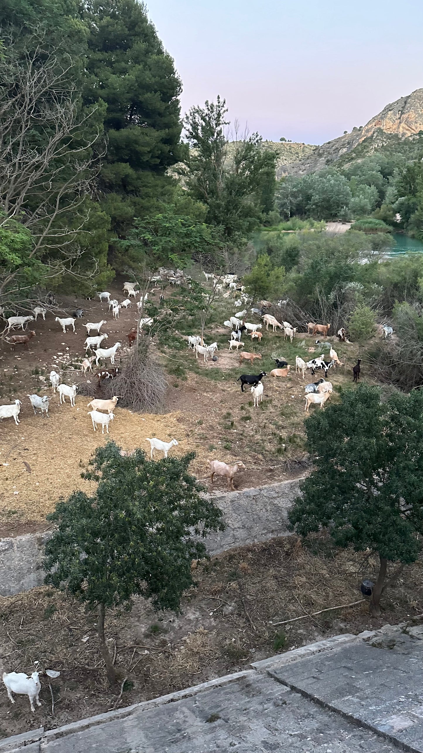 Chorreras del cabriel, Cuenca. Senderismo y natación. 12km Nivel medio duro. Sábado 13 de julio