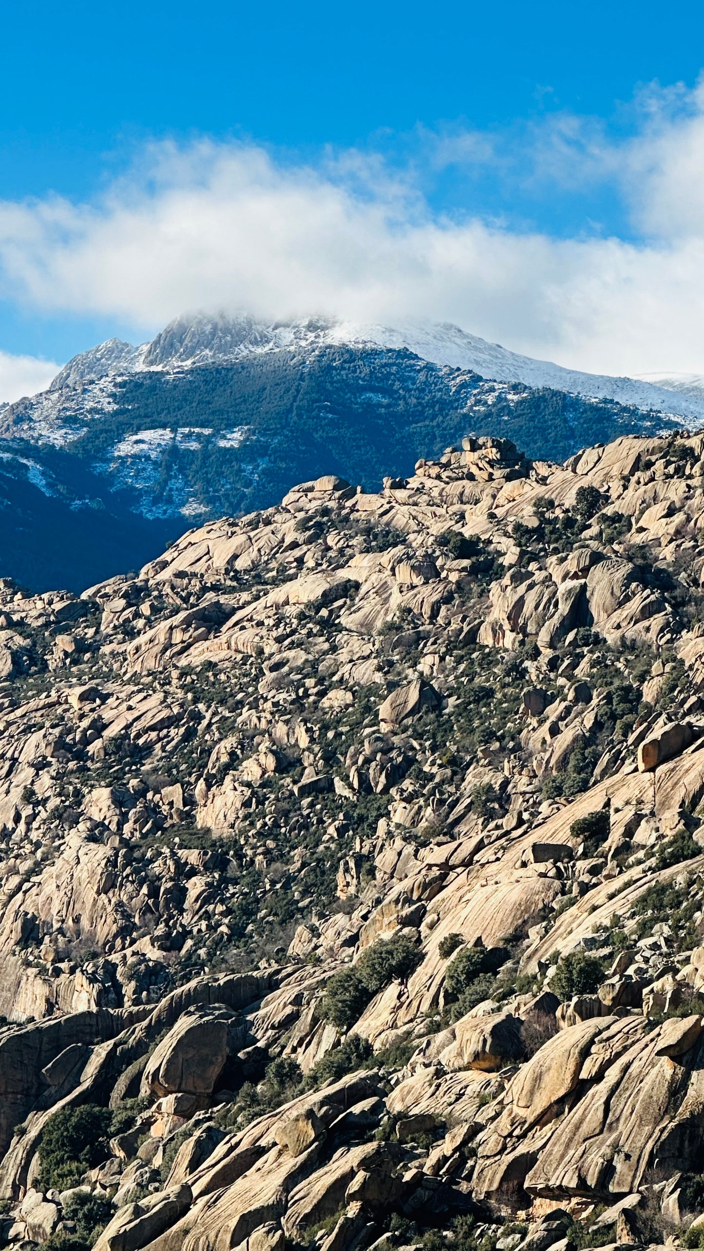 Firday 1st Nov. Hiking. Refugio Giner de los Ríos - La pedriza. Manzanares El Real. 15KM. Medium Level