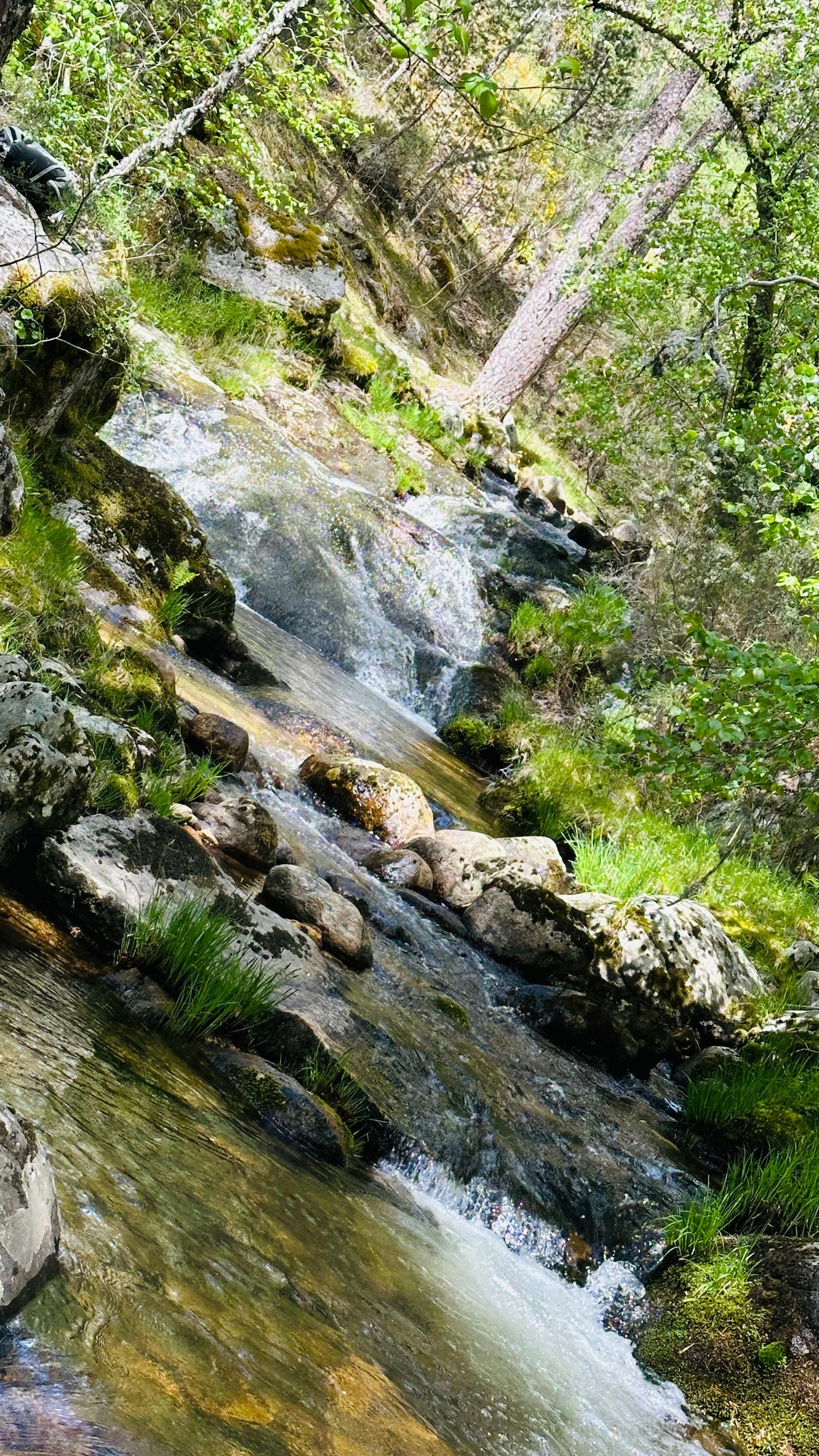 Domingo 14 de julio. Senderismo - Ruta de Agua. Puerto de Cotos. Nivel medio duro